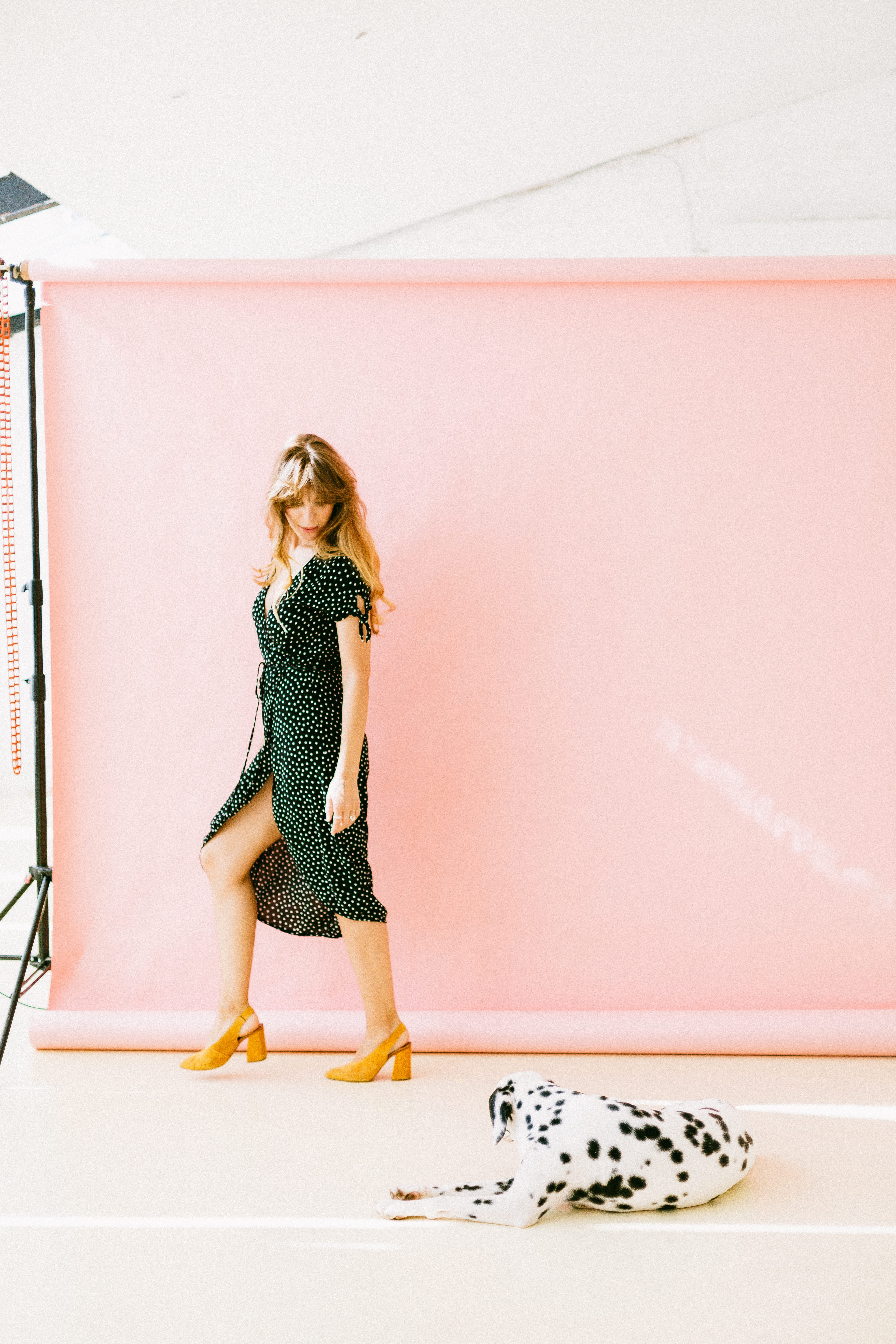 wall - building feature, looking, heels, long hair, canidae, female, indoors, lifestyles, purebred, girls, near, full length, hair, posture, animal, wear, Phone HD Wallpaper
