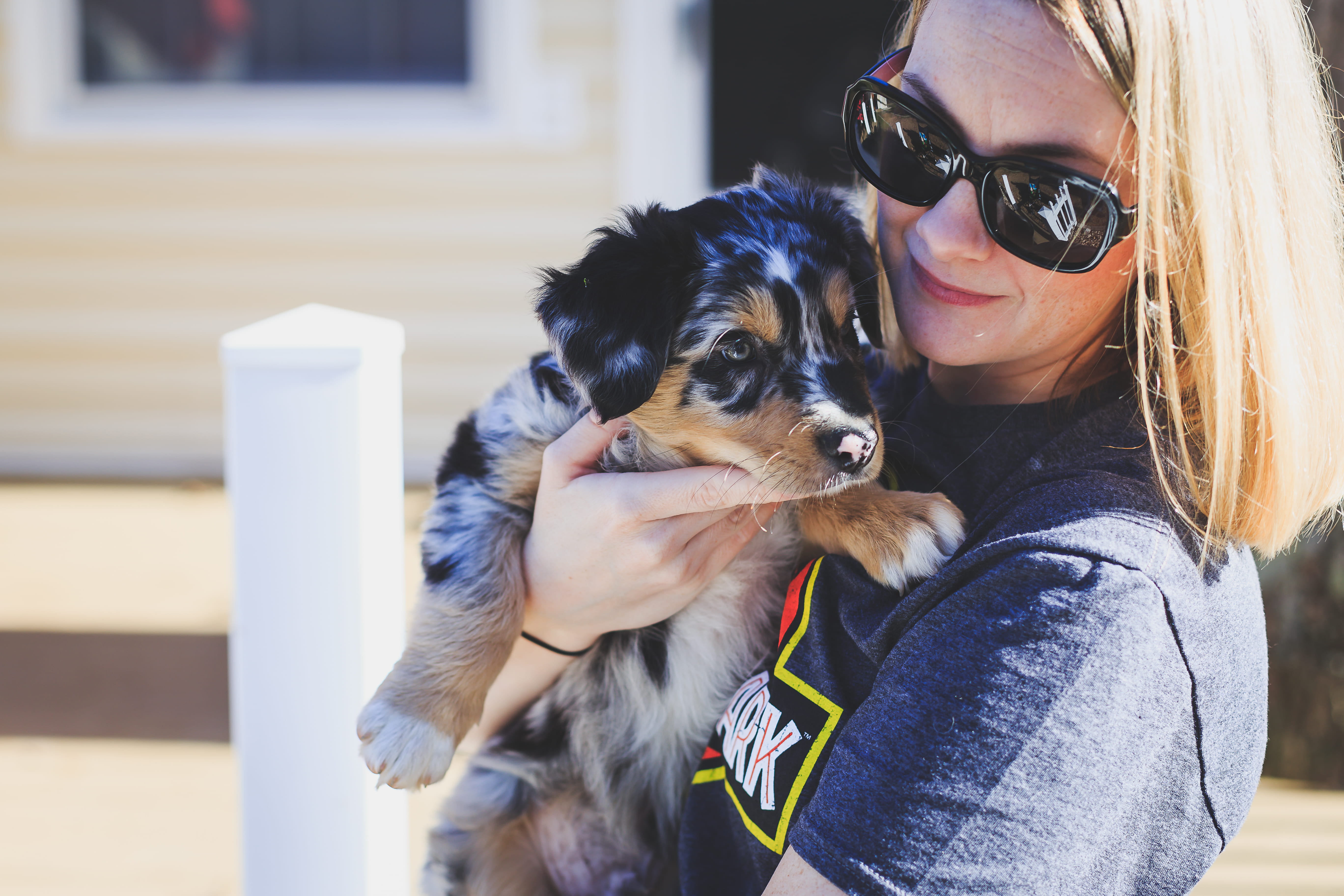 female, furry, glasses, vertebrate, women, animal, eyewear, domestic animals, australian shepherd, one person, teenager, pet owner, one animal, fur, lifestyles, HD Wallpaper