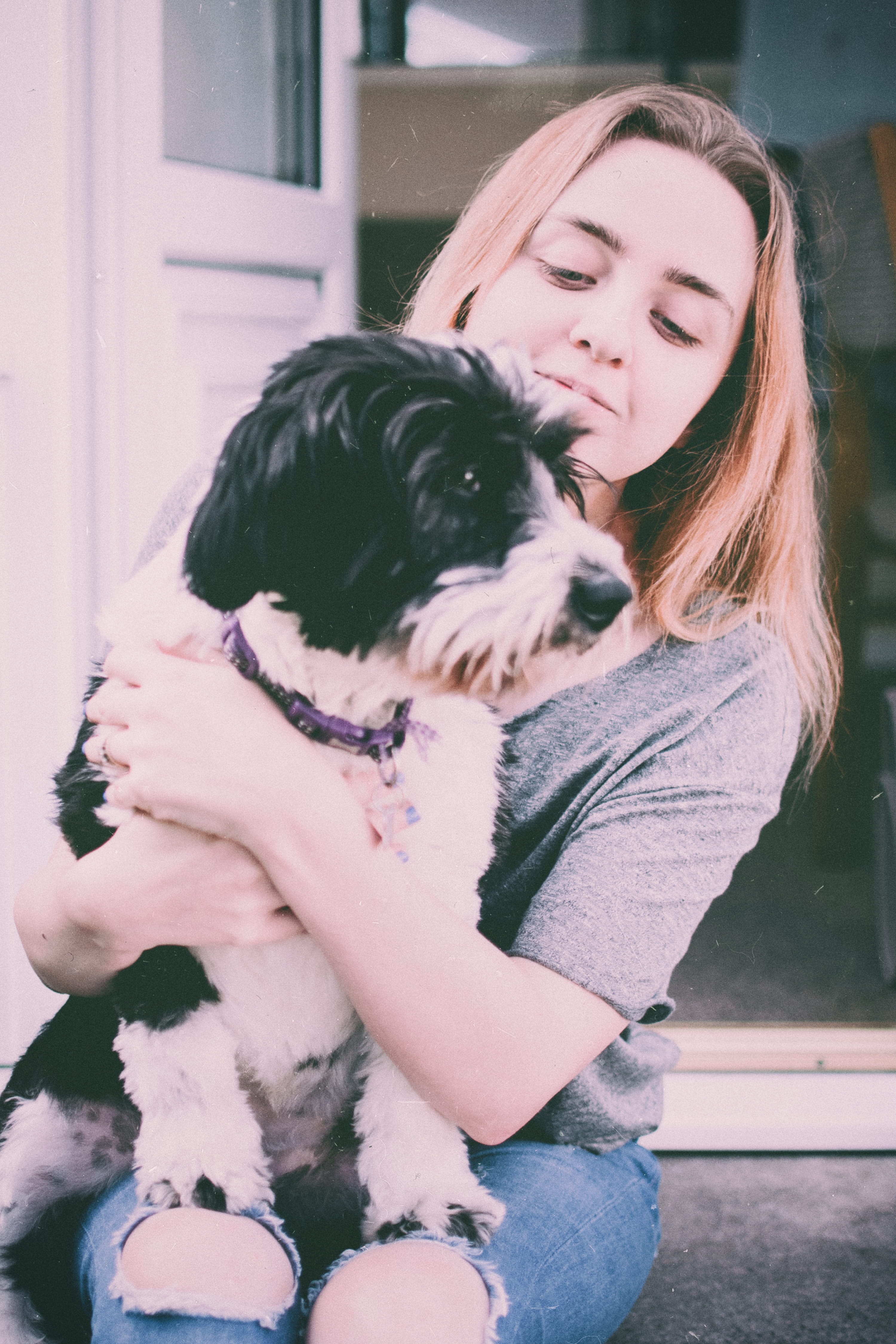 face, canidae, animal, fur, one animal, emotion, dog, mammal, adorable, holding, care, domestic animals, love, lady, facial expression, woman, canine, vertebrate, Phone HD Wallpaper