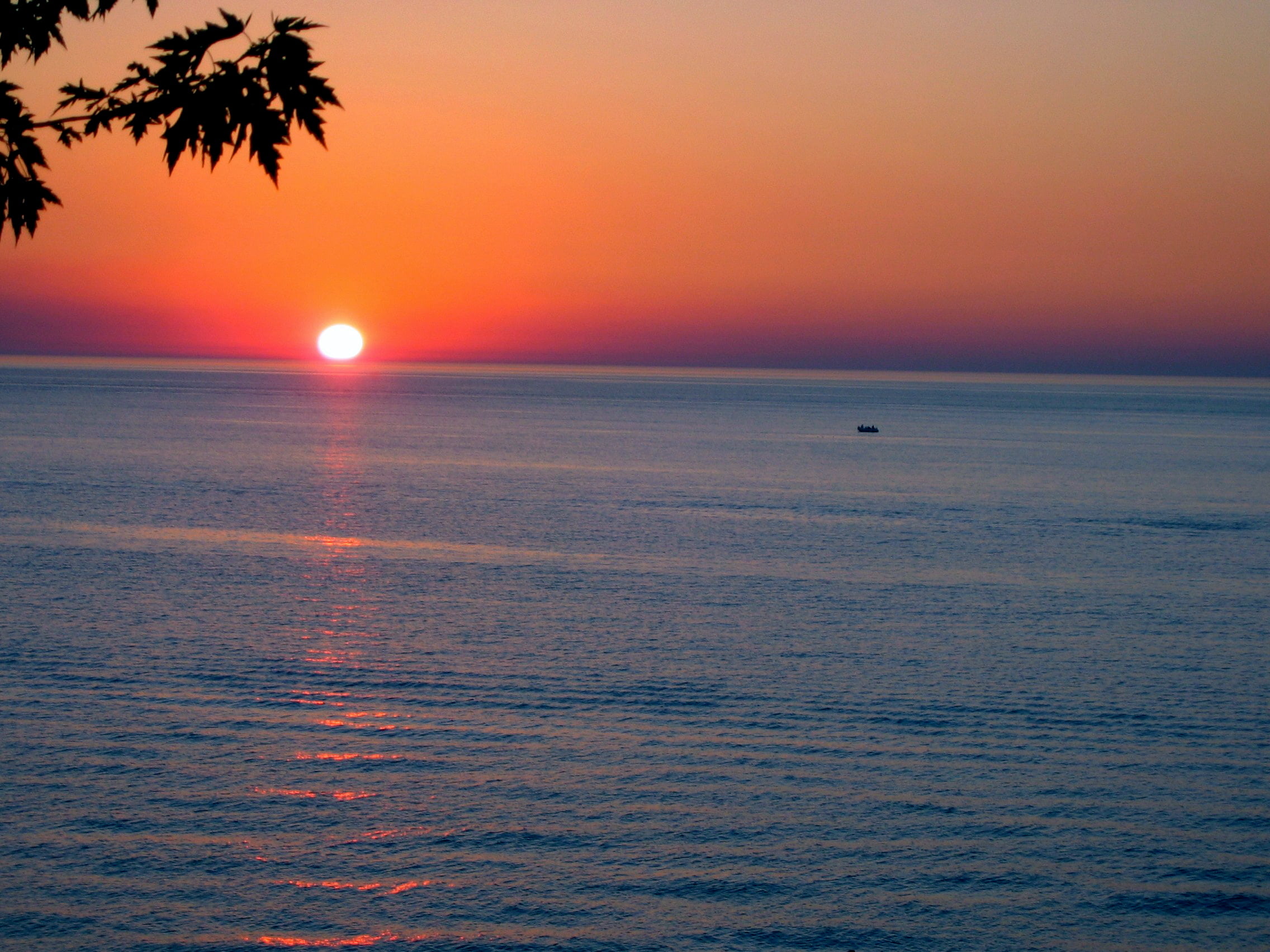 silhouette, sea, gorgeous, sun, 1080P, summer, photography, best, tree, new  buffalo, orange, wow, heavy, good, awesome, boat, favorite, body of water, HD Wallpaper