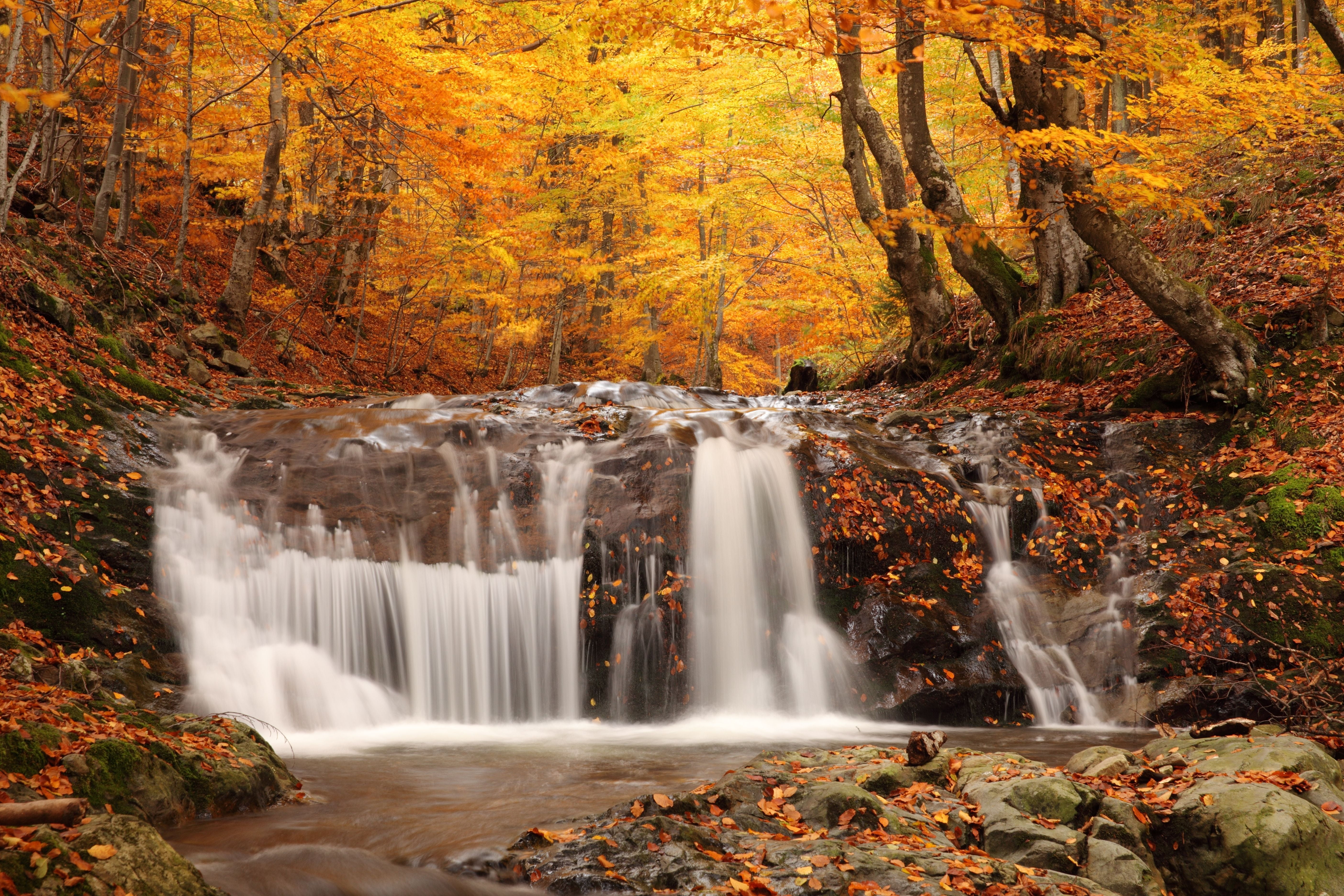 nature, long exposure, lush Foliage, blurred Motion, waterfalls, woodland, river, green Color, rainforest, cascading, leaf, environment, falling, landscape, HD Wallpaper