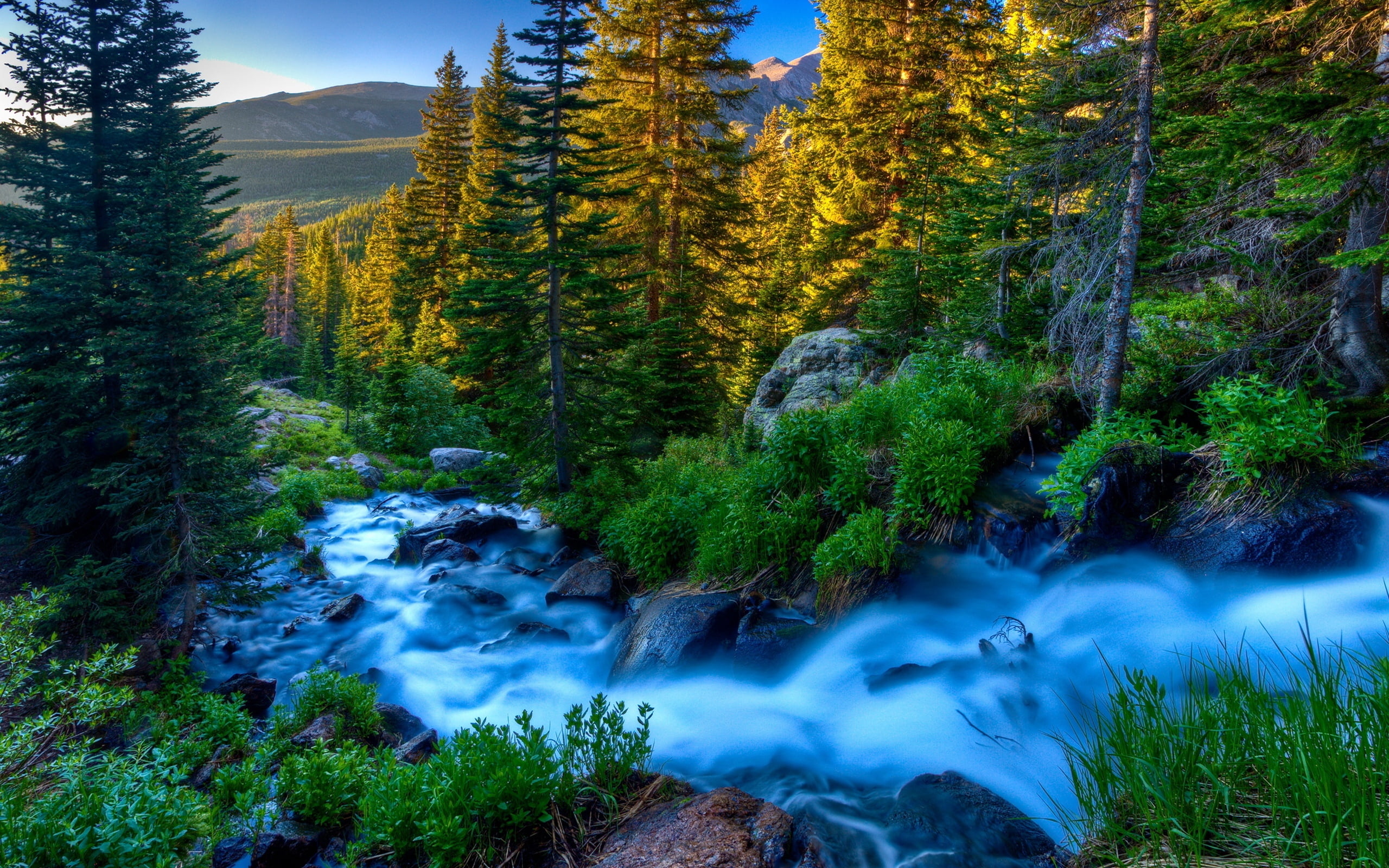 mountain, freshness, beauty In Nature, plant, leaf, scenics, current, grass, blurred motion, flowing, travel, 2K, nature, summer, extreme Terrain, autumn, HD Wallpaper