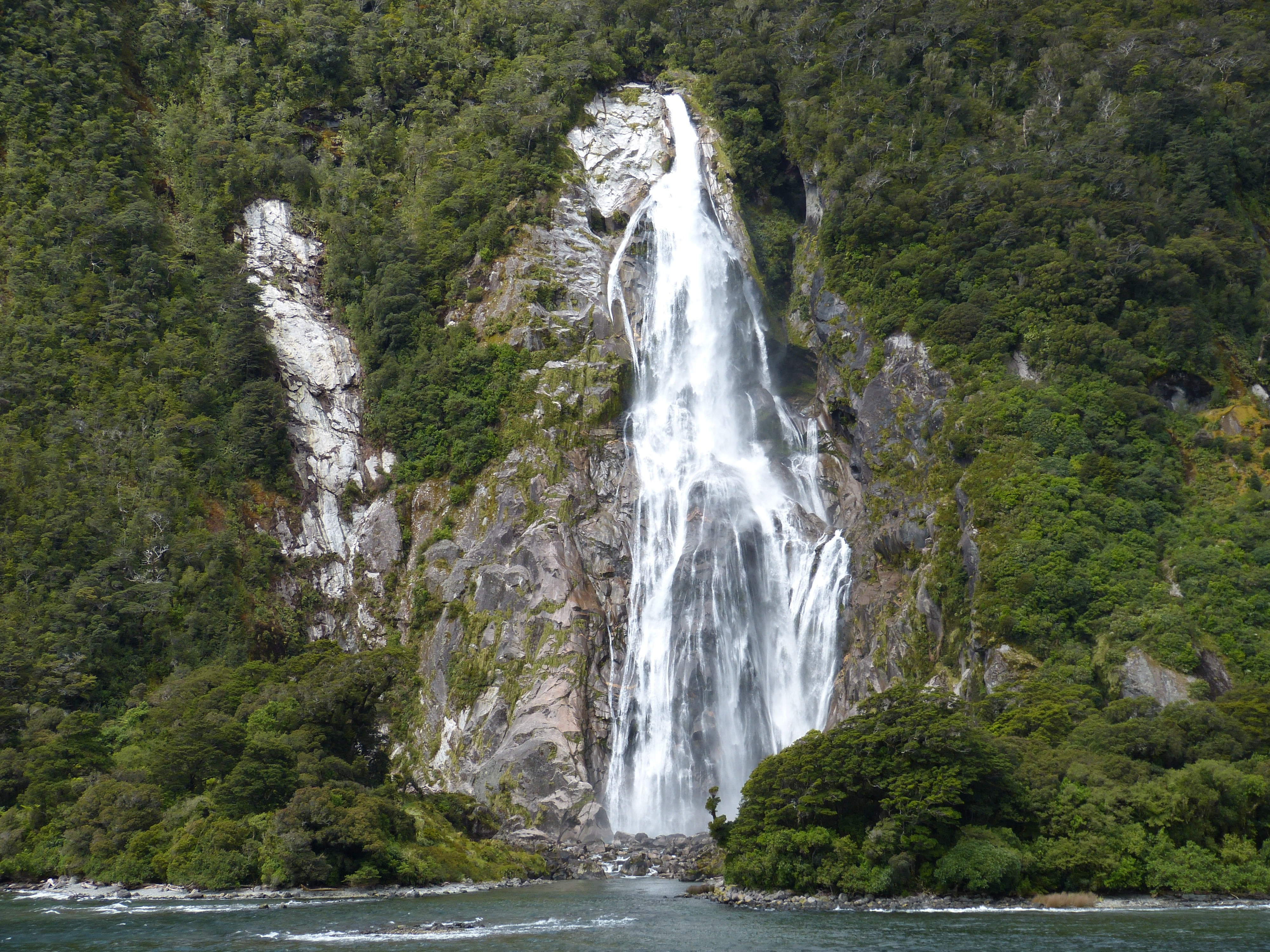 motion, solid, landscape, murmur, tree, river, waters, growth, waterfall, no people, water, 4K, day, beauty in nature, new zealand, rainforest, scenics - nature, HD Wallpaper