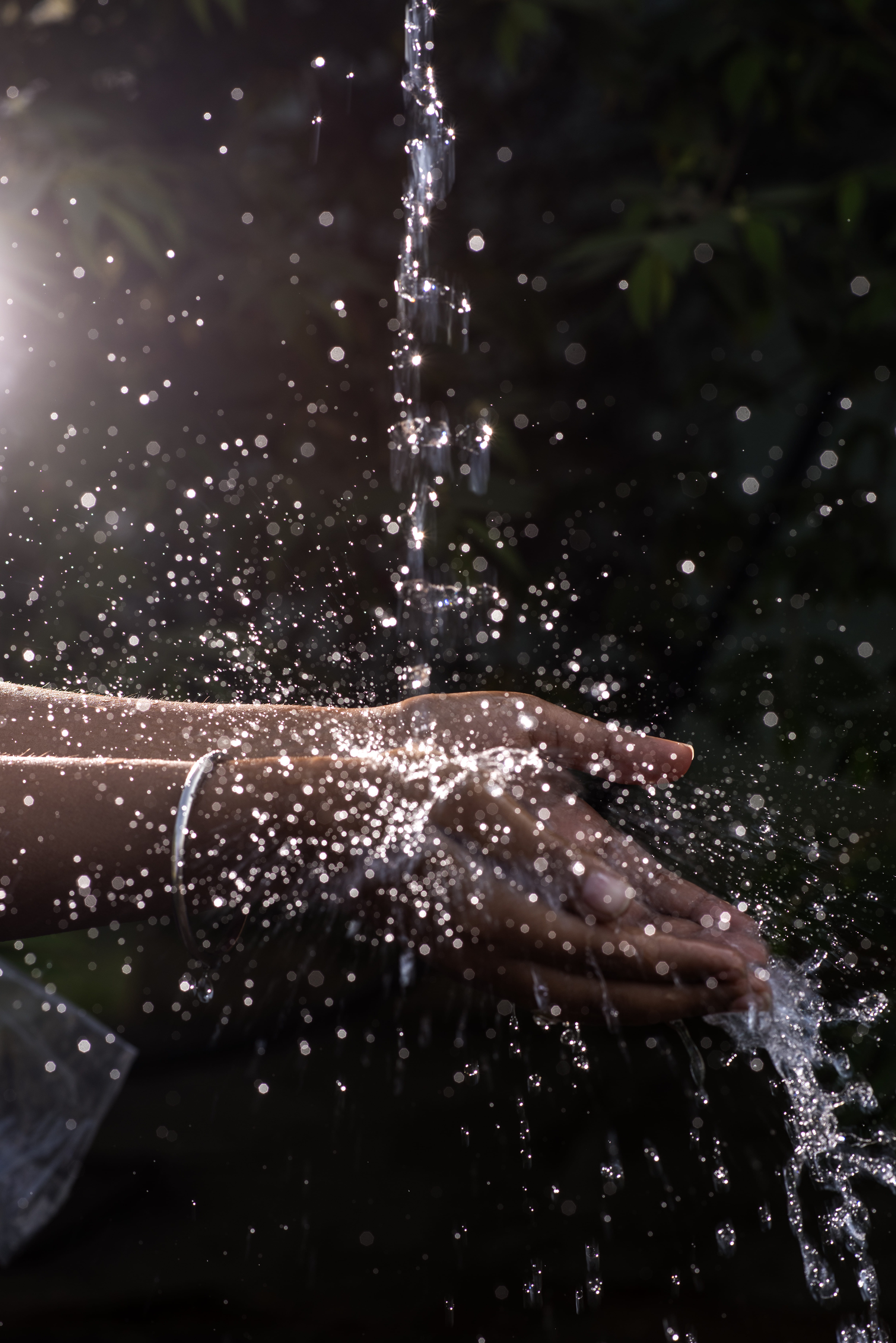 motion, high-speed photography, close-up, washing, purity, refreshing, nature, no people, day, splash, animal themes, animal wildlife, one animal, water on hands, Phone HD Wallpaper