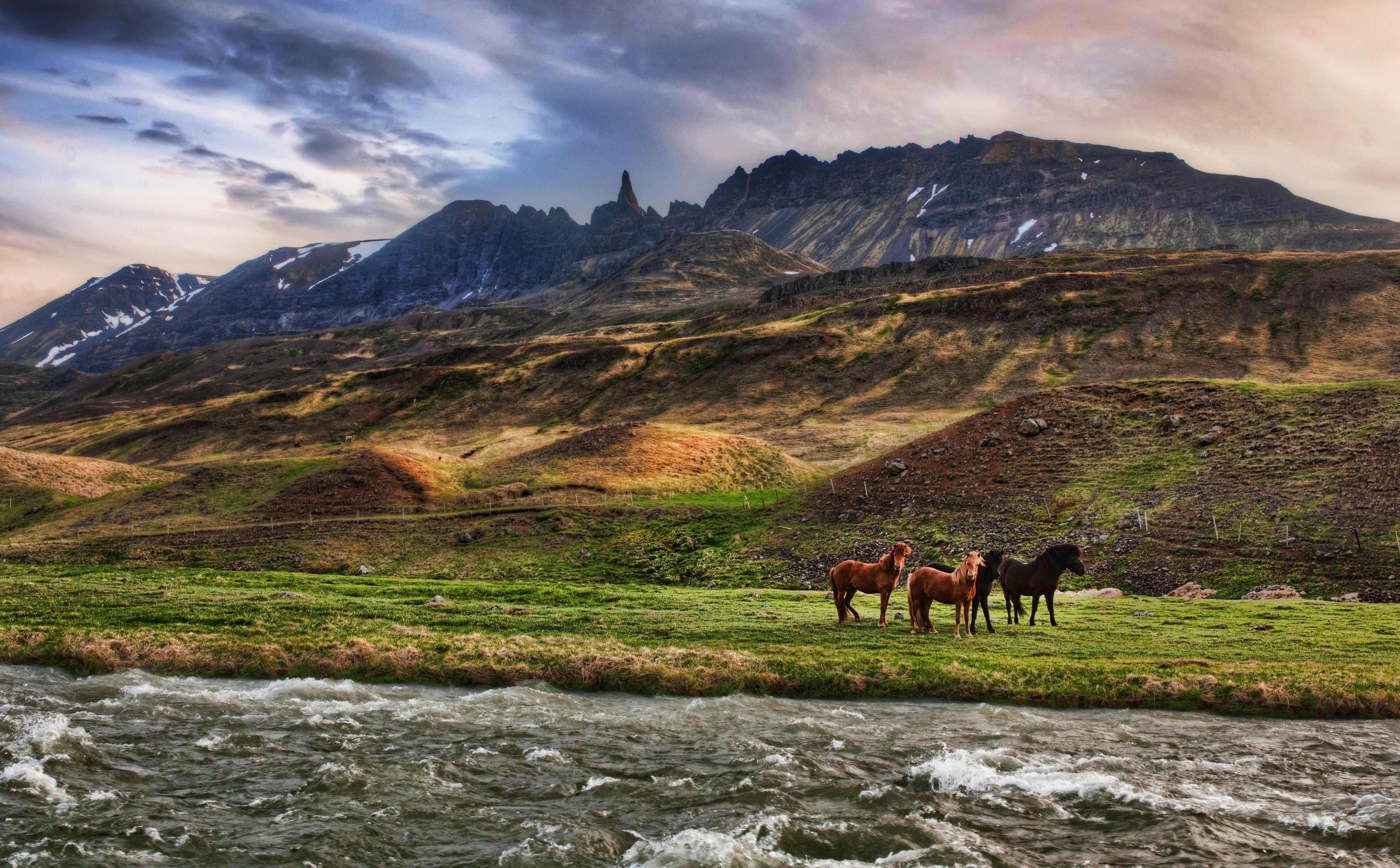 Animals, River, environment, scenics - nature, black, beauty in nature, animal, mammal, mountain, no people, Horses, land, horse, domestic animals, vertebrate, HD Wallpaper