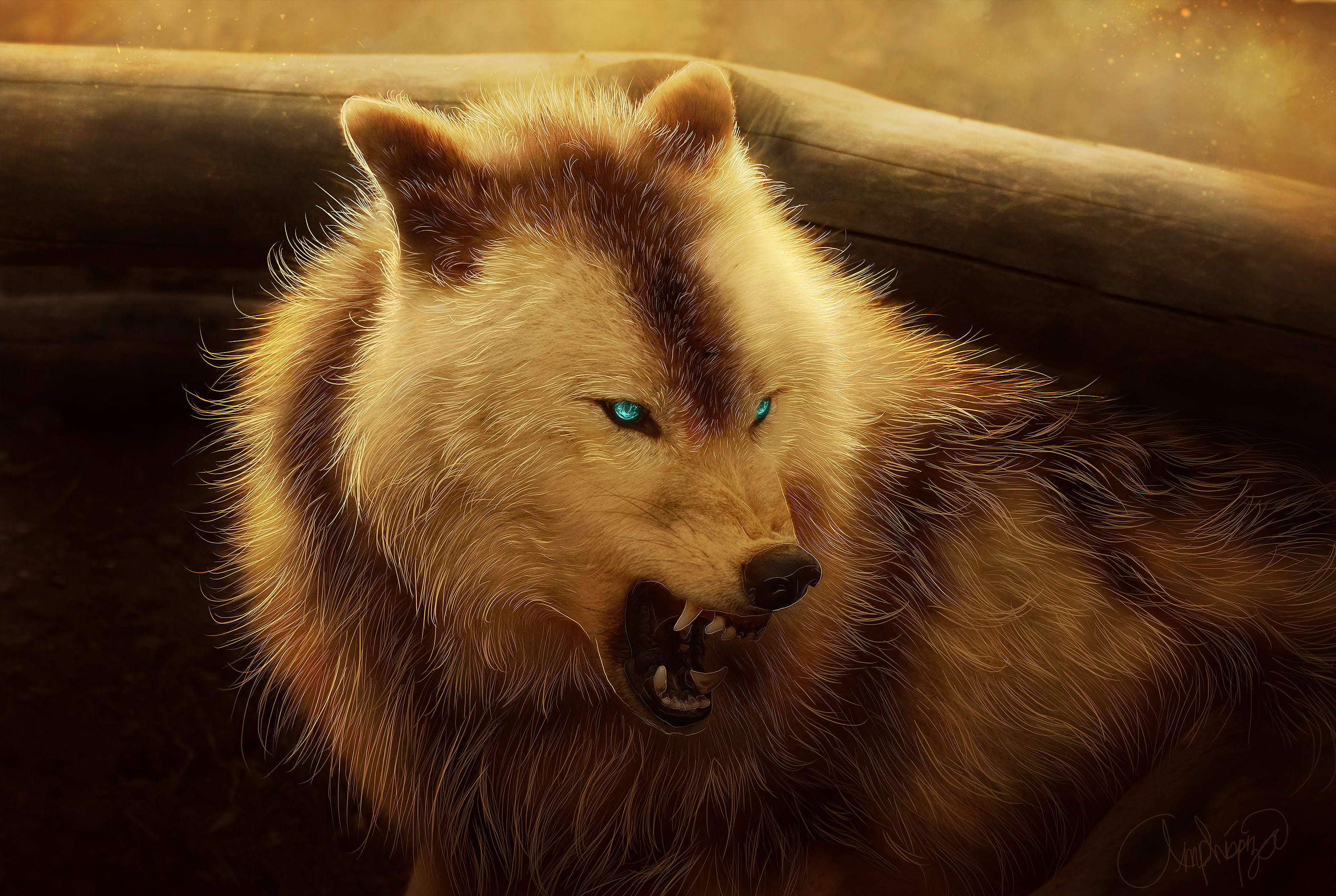 animals, blue eyes, 2K, angry, wolf, HD Wallpaper