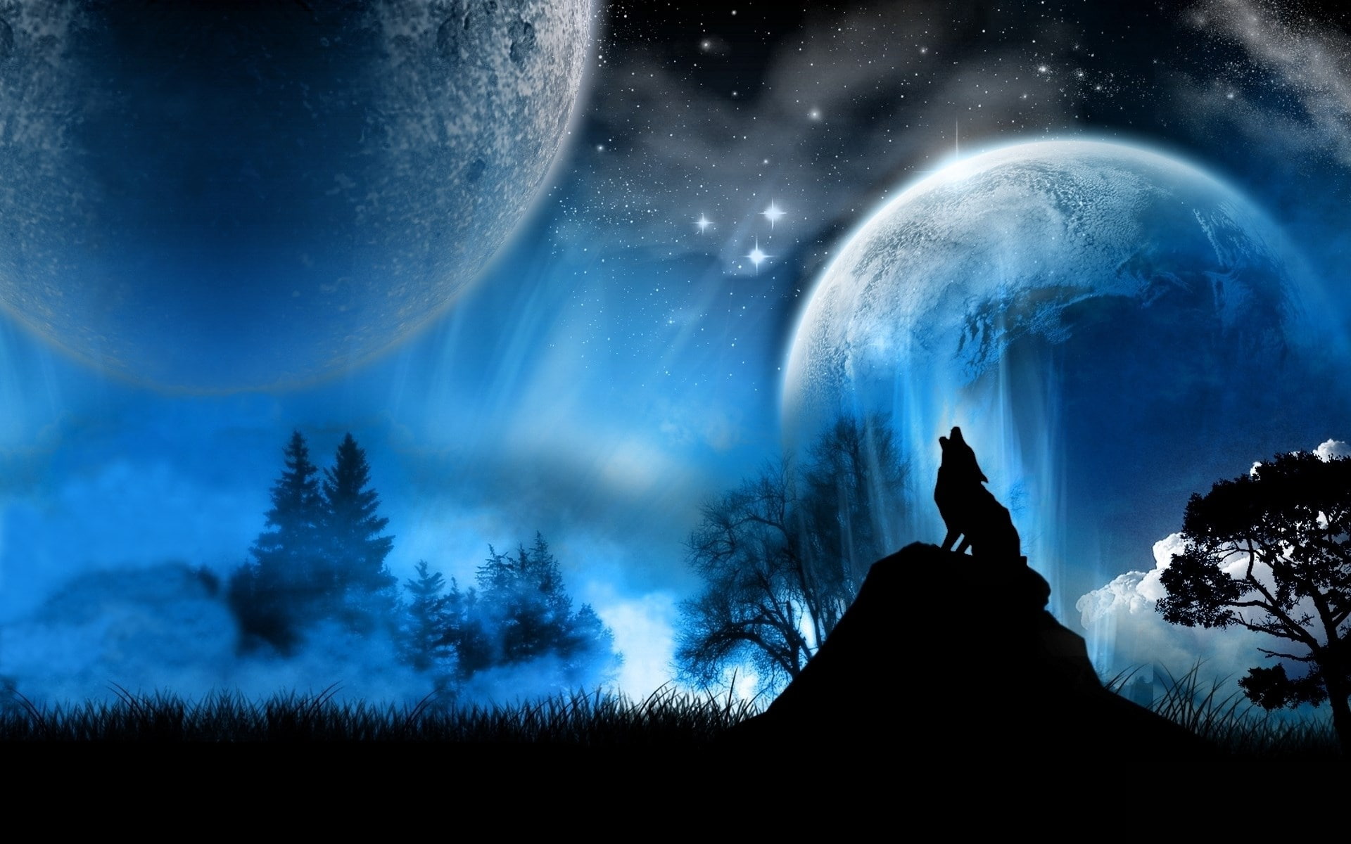 space exploration, star - space, beauty in nature, night, land, planet - space, sky, exploration, scenics - nature, silhouette, one person, plant, nature, HD Wallpaper