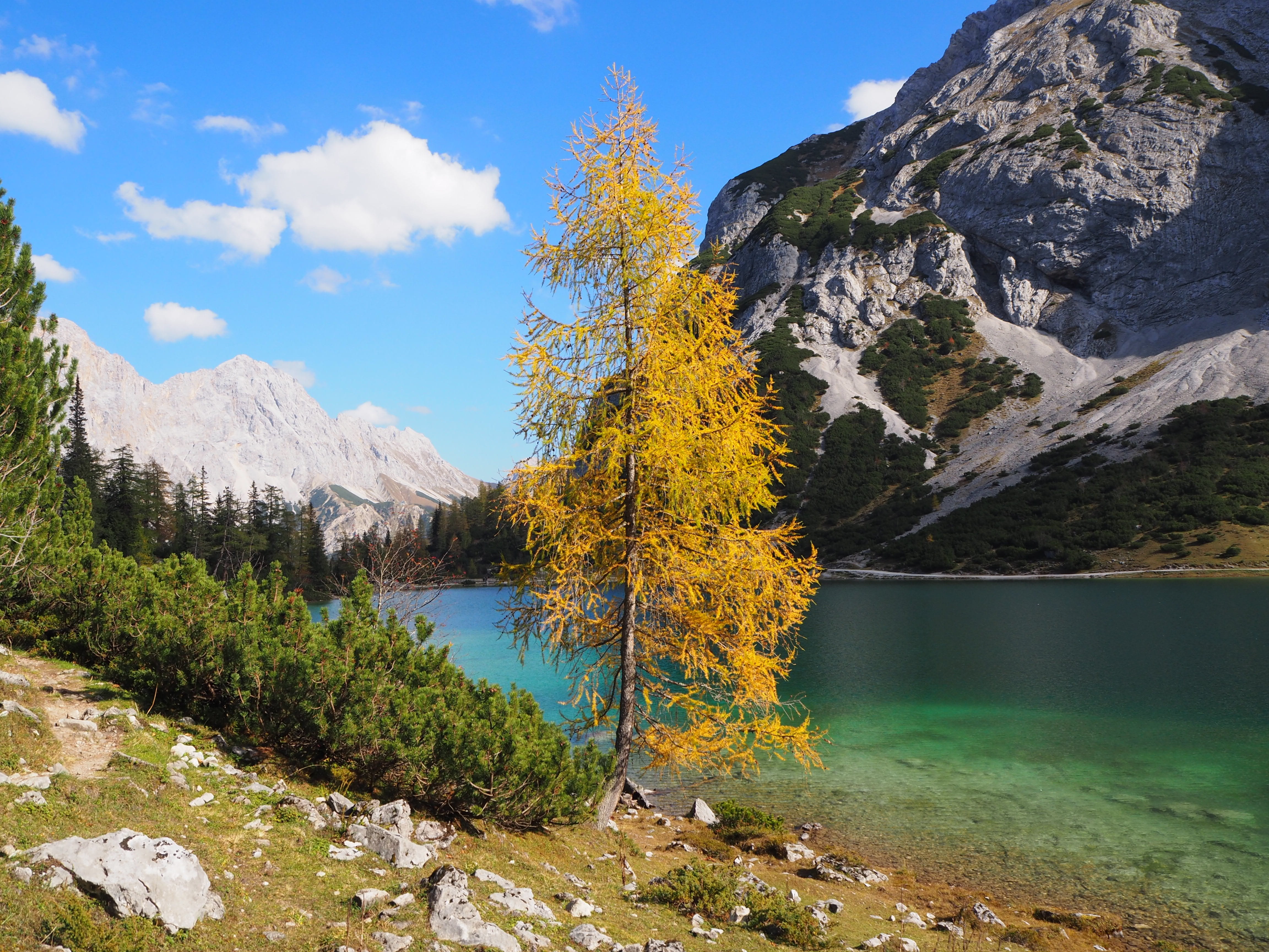 tranquil scene, formation, change, nature paradise, non-urban scene, water, nature, mountain world, coniferous tree, outdoors, pine tree, mountain peak, HD Wallpaper