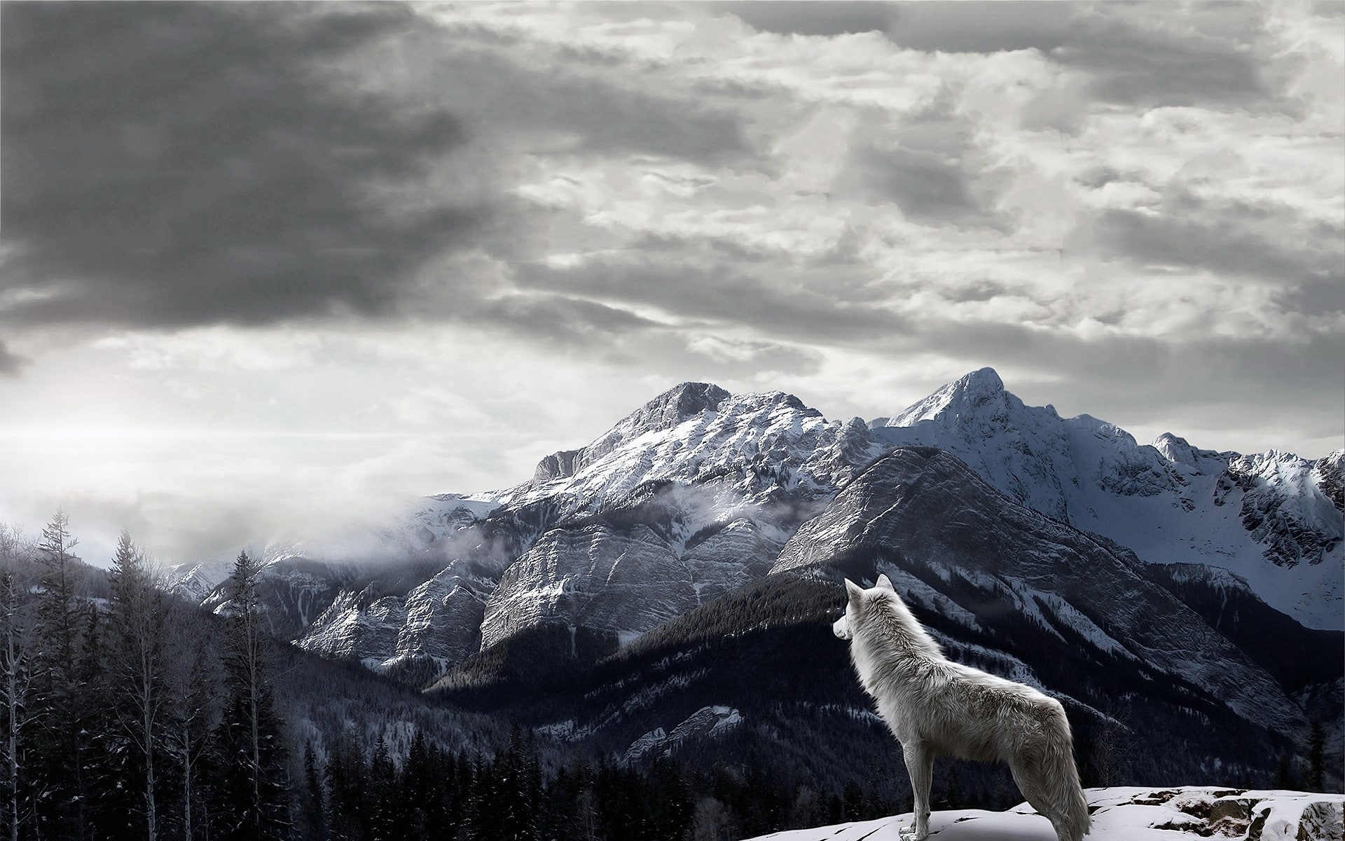 formation, animal, no people, landscape, one animal, tree, nature, pets, mountains, mountain range, clouds, wolf, day, domestic animals, cloud - sky, 1080P, HD Wallpaper