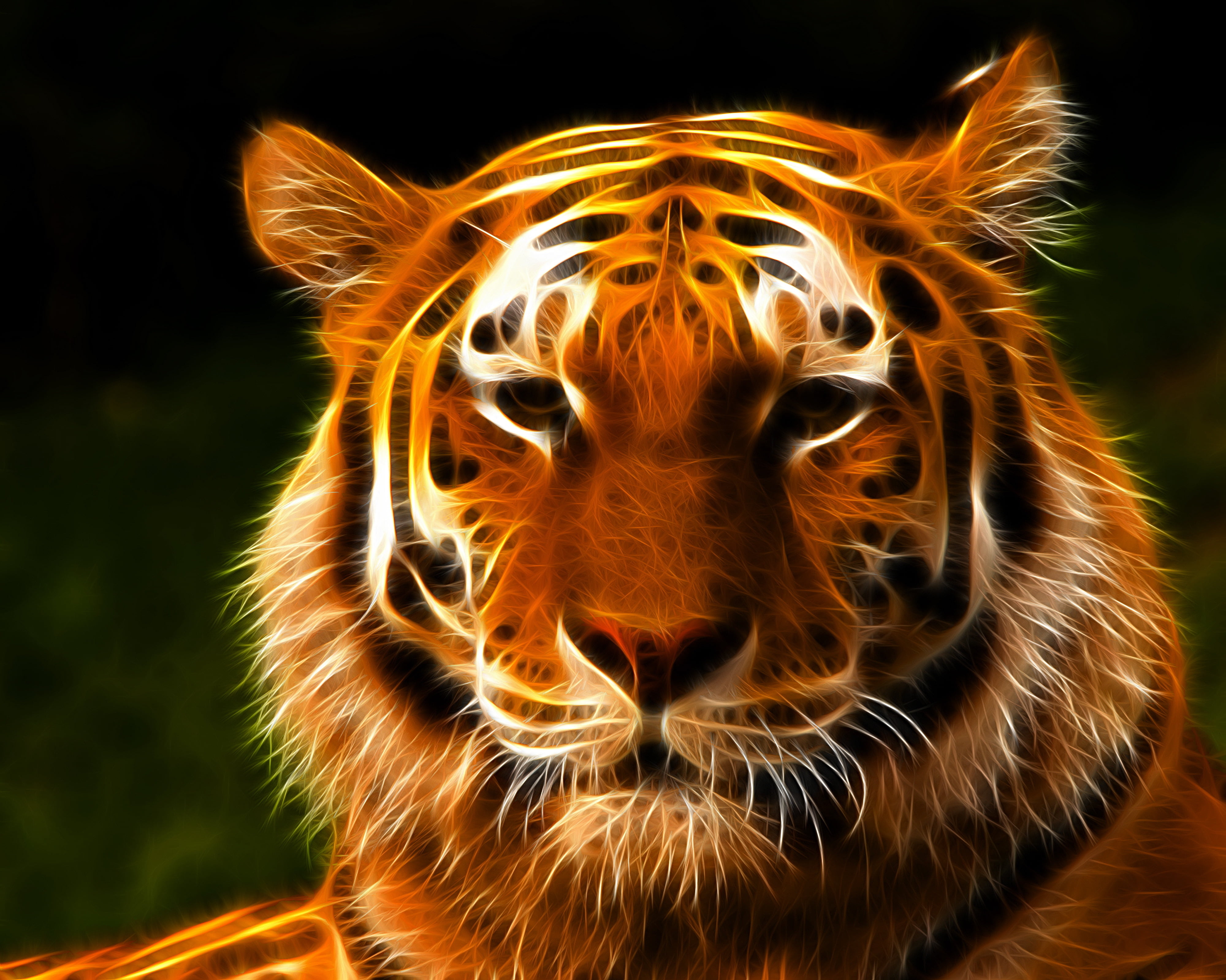 human Face, mouth open, zoo, no People, animal, animals And Pets, danger, aggression, fur, safari Animals, wild Animals, whisker, close-up, nature, 4K, HD Wallpaper