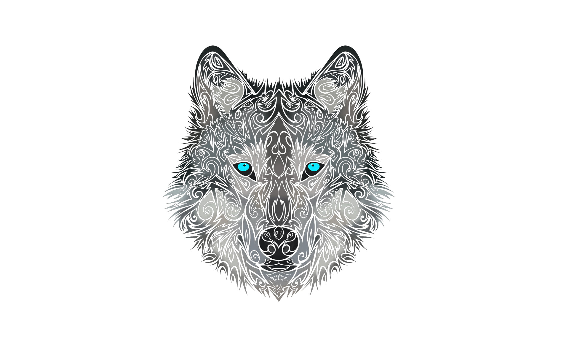 gray, white, indoors, wildlife, cat, domestic, copy space, dog, wolf, animal themes, cut out, purebred Dog, head, fur, no people, illustration, mammal, HD Wallpaper
