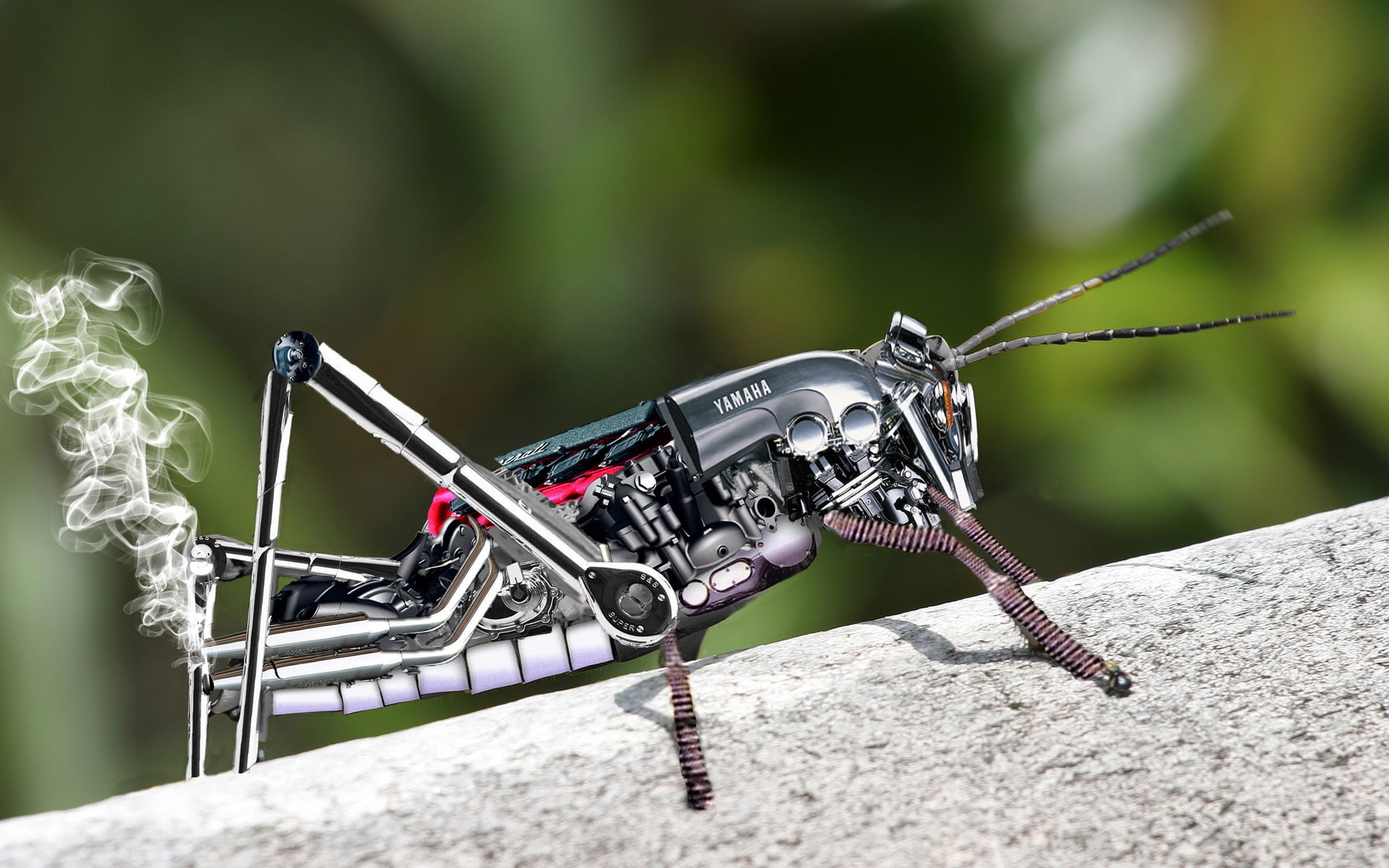 Robot, Metal, Grasshopper, 1080P, HD Wallpaper