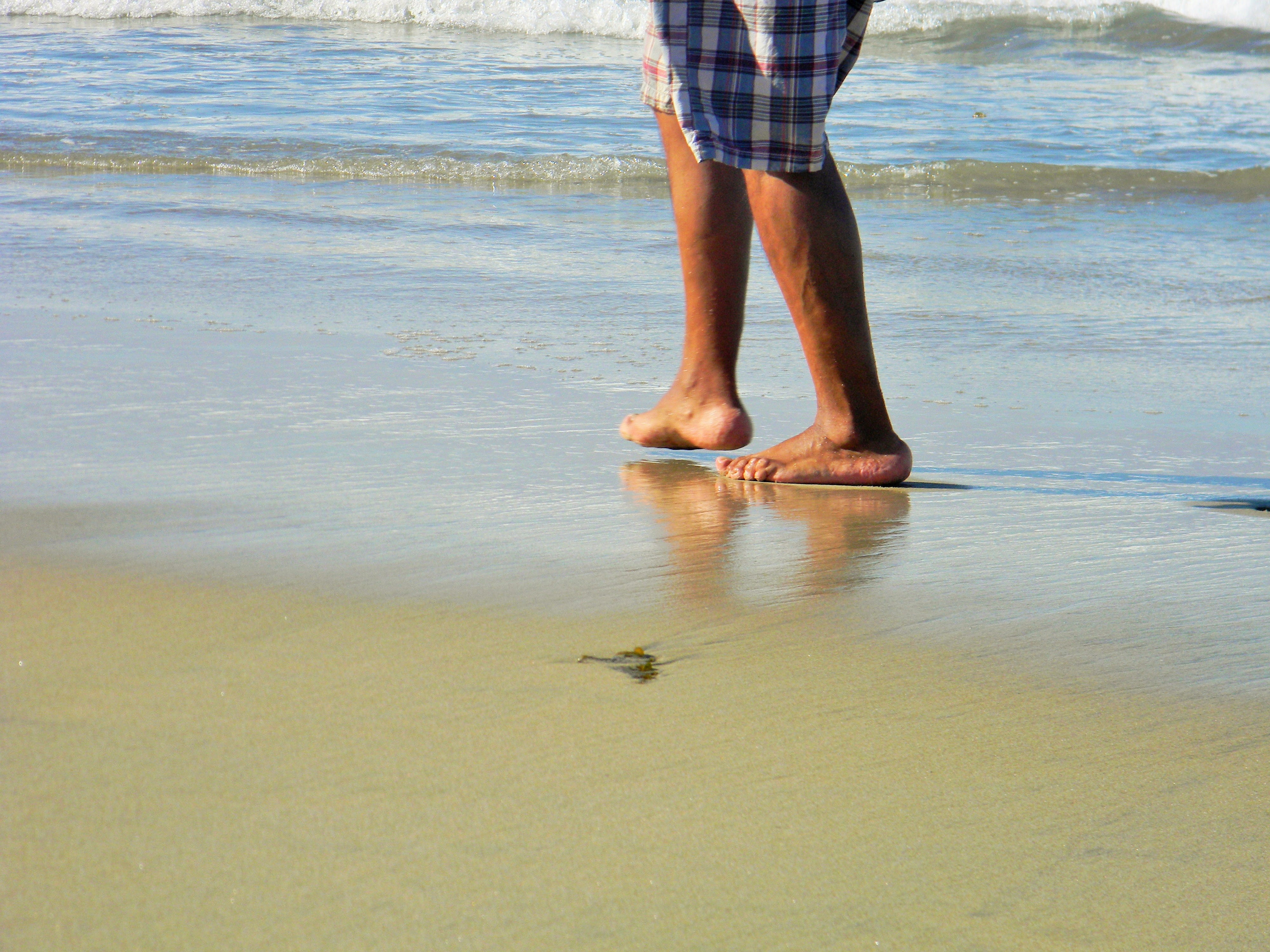 water, body part, sea, day, barefoot, land, men, lifestyles, human body part, walk, shorts, real people, mexico, human leg, beach, leisure activity, standing, HD Wallpaper