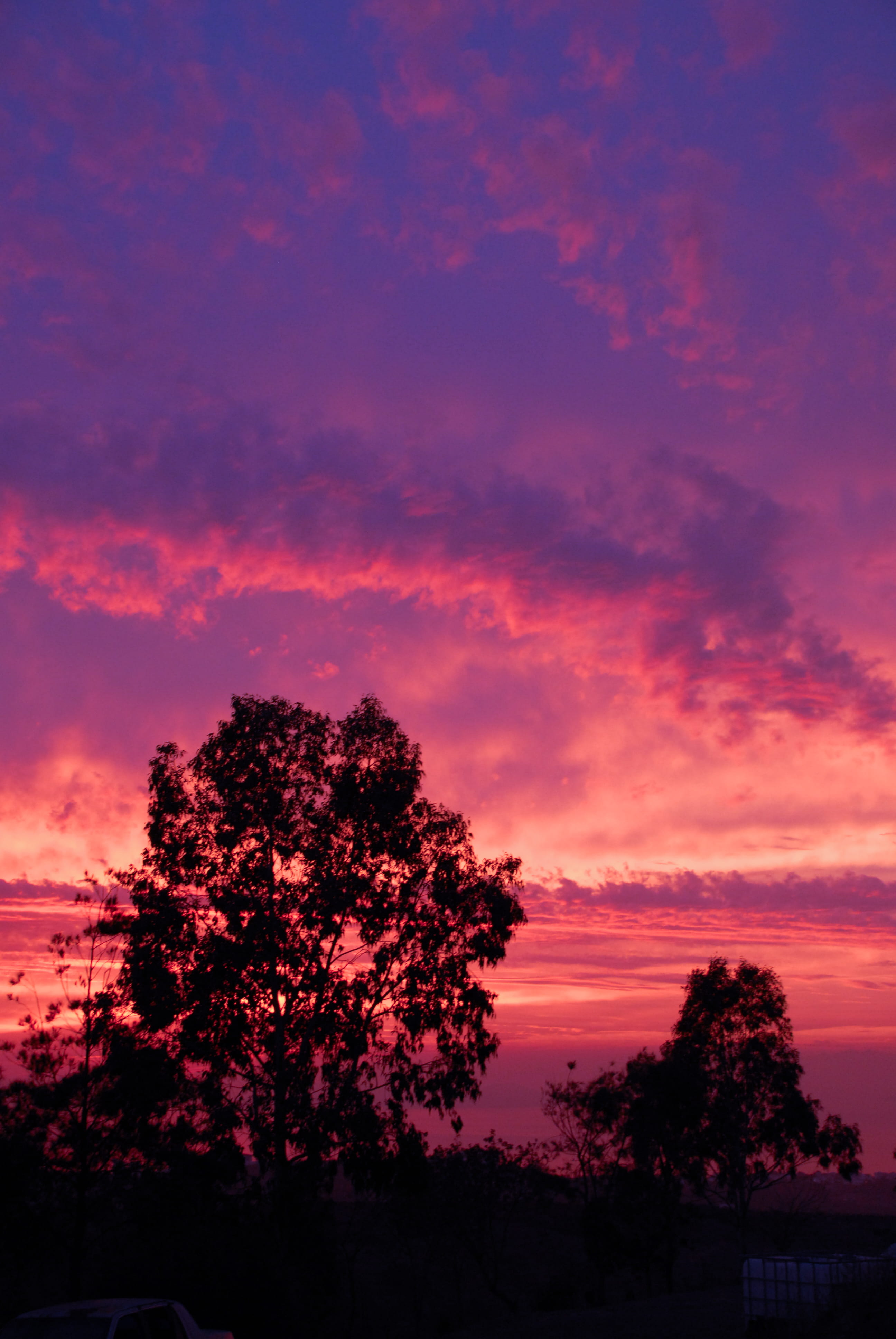 tranquil scene, sky, landscape, plant, silhouette, orange color, cloud - sky, growth, nature, sunset, tree, 4K, pink color, tijuana, no people, beauty in nature, Phone HD Wallpaper