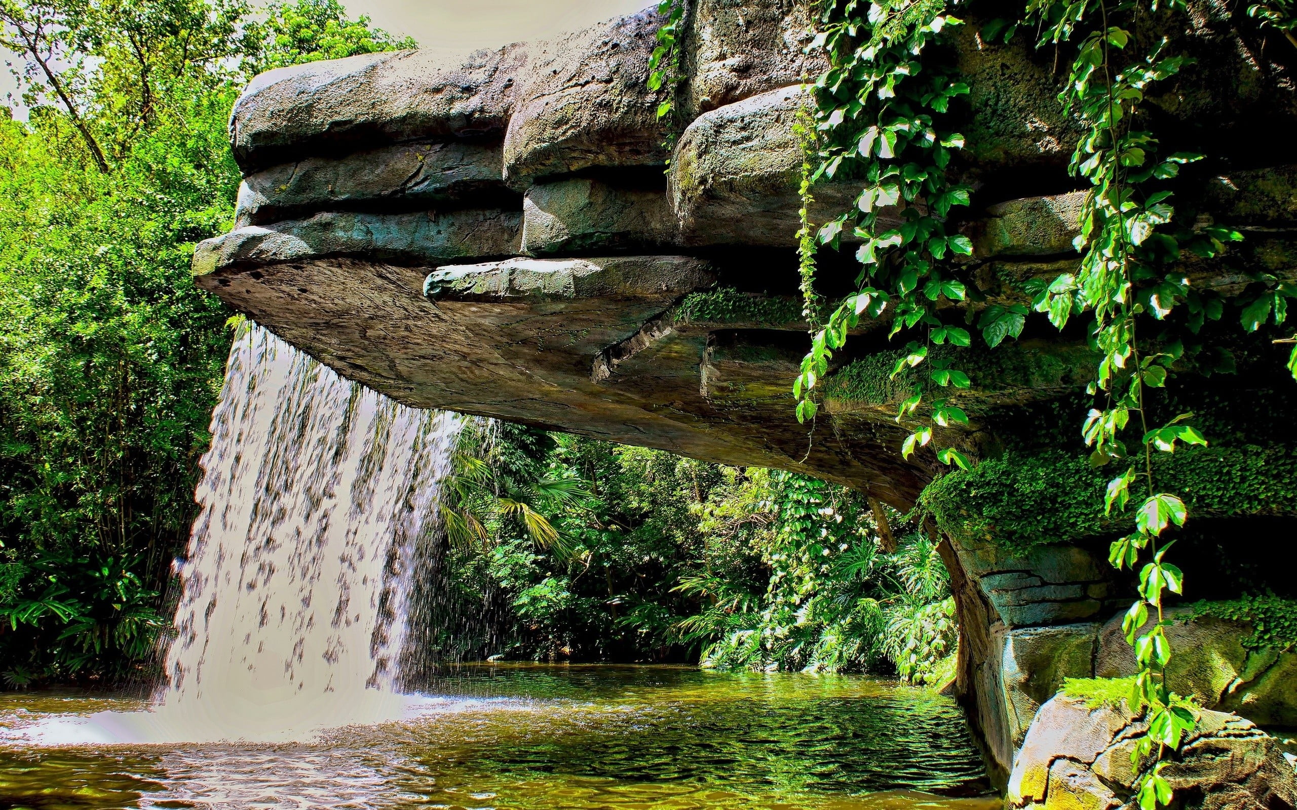 plant, trees, nature, flowing water, solid, motion, stone wall, waterfalls, built structure, outdoors, landscape, growth, 2K, tree, water, old, river, HD Wallpaper