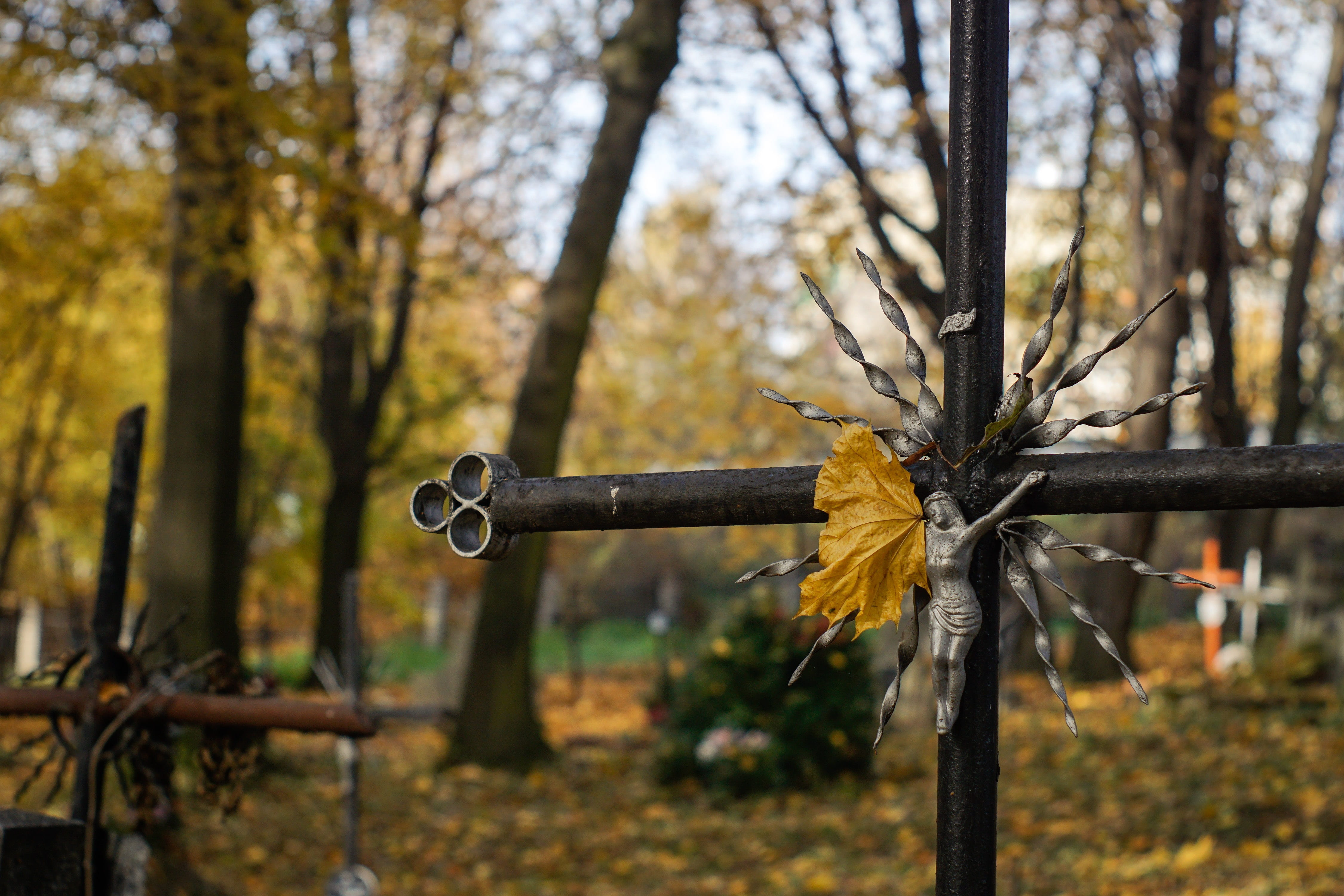 trunk, change, foliage, cross, tranquility, woodland, wood - material, cemetery, beauty in nature, old, religion, tombstones, autumn, landscape, land, yellow, HD Wallpaper