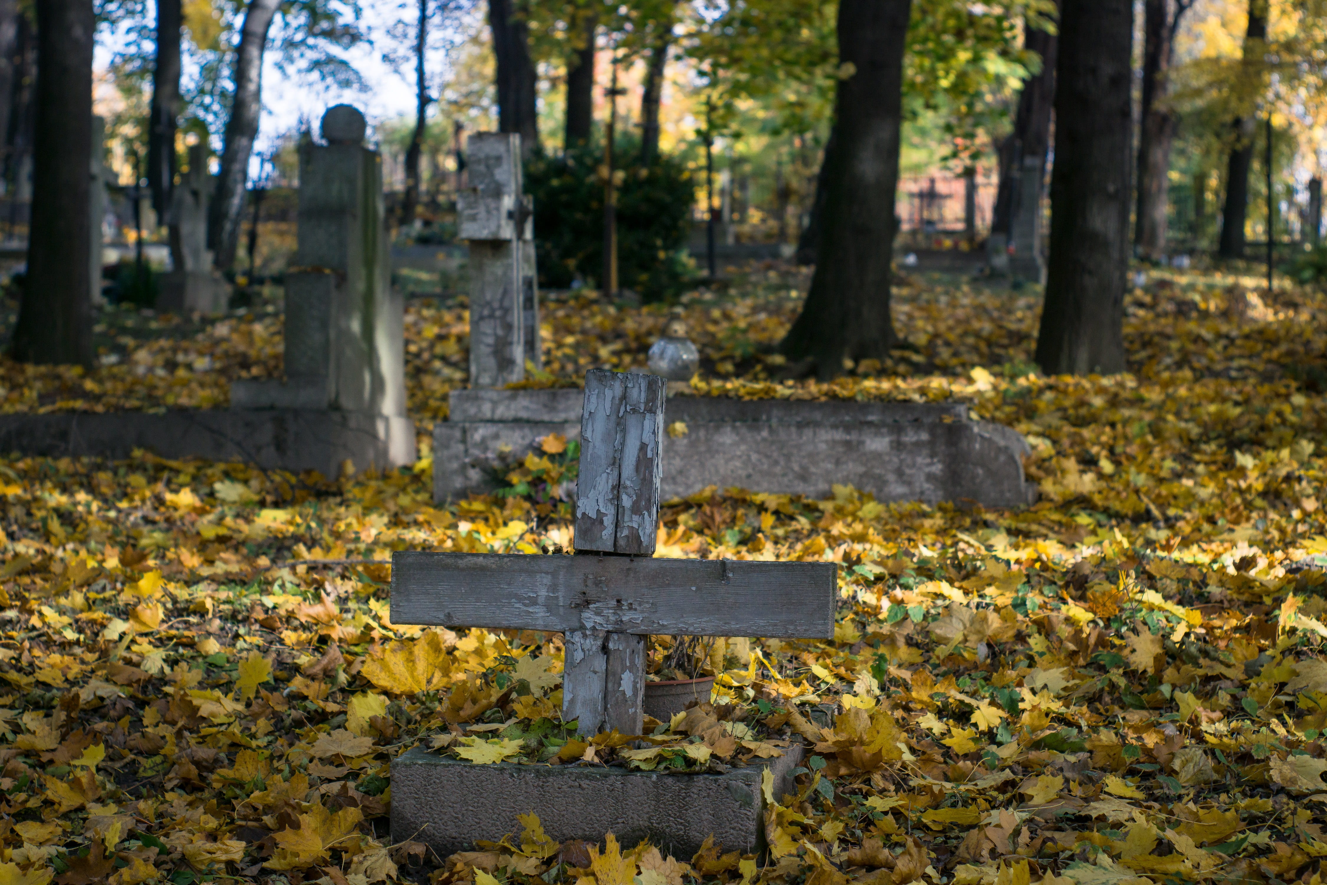 belief, nature, no people, old, 4K, religion, catholic cemetery, plant, stone, sadness, crucifix, wooden, november, cemetery, all souls day, all saints  day, HD Wallpaper