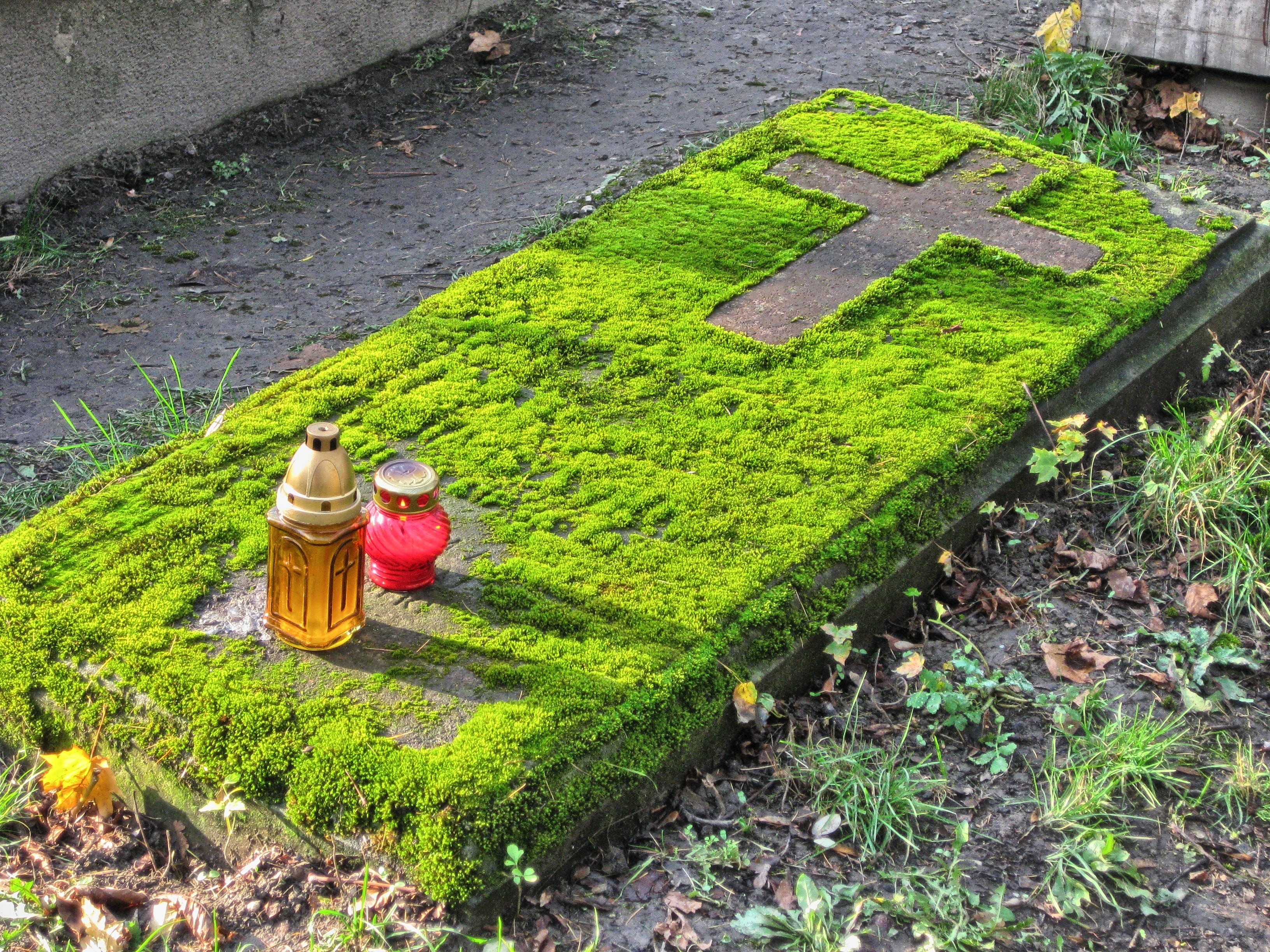 high angle view, nature, all souls  day, christianity, the tomb of, clothing, plant, 2K, poland, memory, adult, farmer, religion, moss, landscape, hat, HD Wallpaper