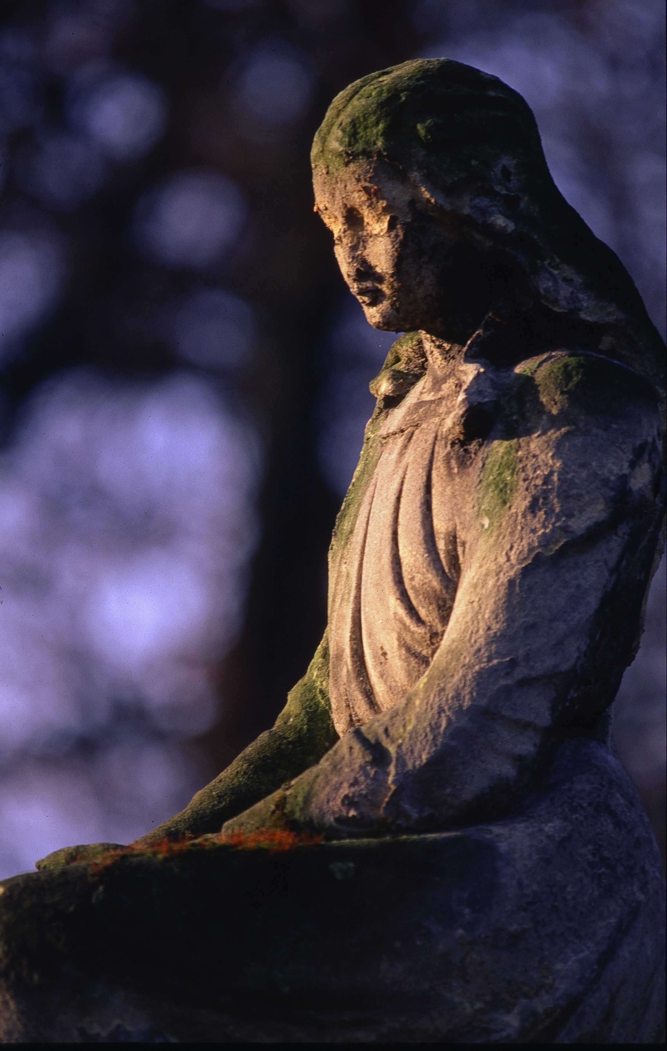 all souls day, architecture, religion, sculpture, tourism, day, cemetery, stone, statues, outdoors, statue, 2K, angel, selective, representation, photo, Phone HD Wallpaper
