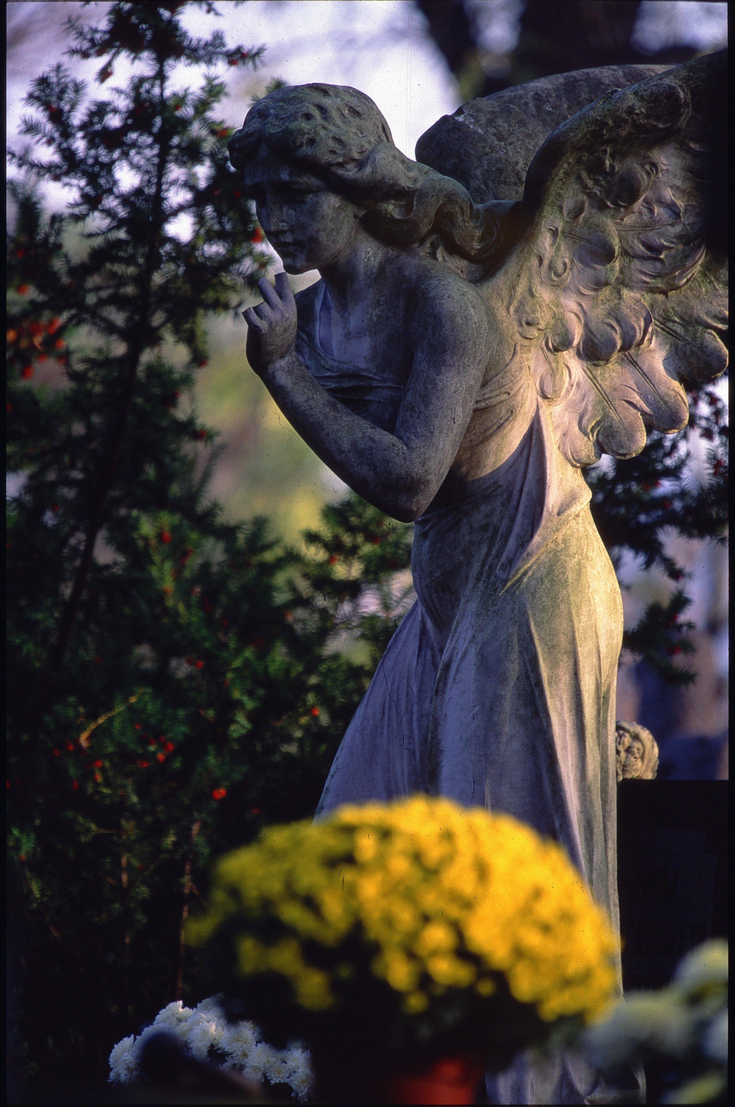 no people, concrete, architecture, leafed, cemetery, religion, art and craft, plant, angel, day, flower, saints, all souls day, near, representation, statues, Phone HD Wallpaper