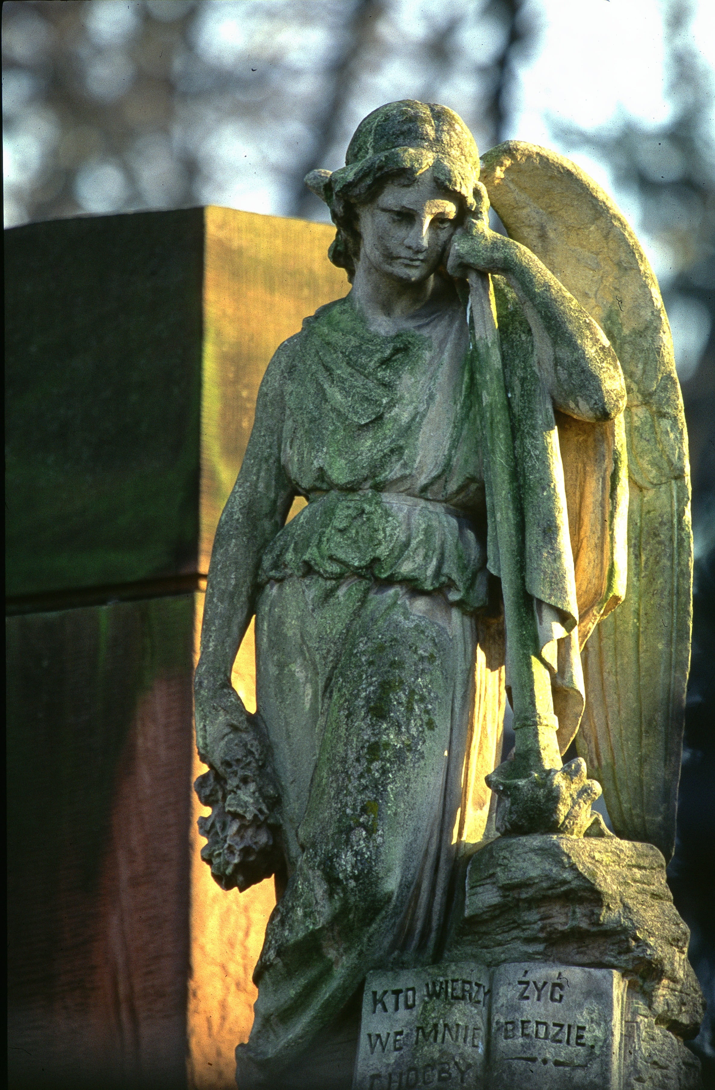 warsaw, creativity, day, tour, focus on foreground, concrete, human representation, angel, gothic, stone, grave, tourism, low angle view, craft, statues, Phone HD Wallpaper