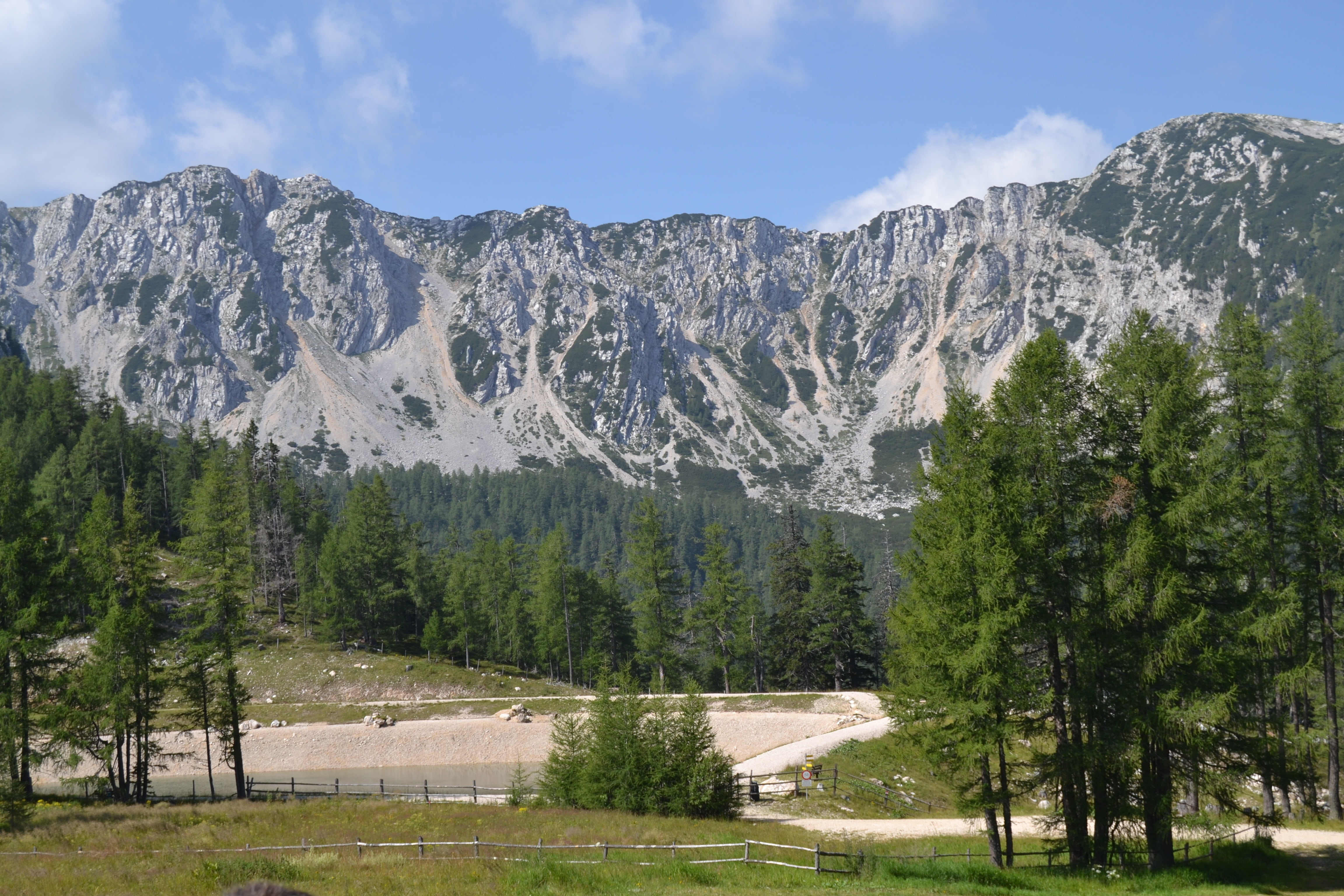 sneak, cloud - sky, coniferous tree, tranquility, growth, no people, environment, nature, green color, pine tree, scenics - nature, non-urban scene, european Alps, HD Wallpaper