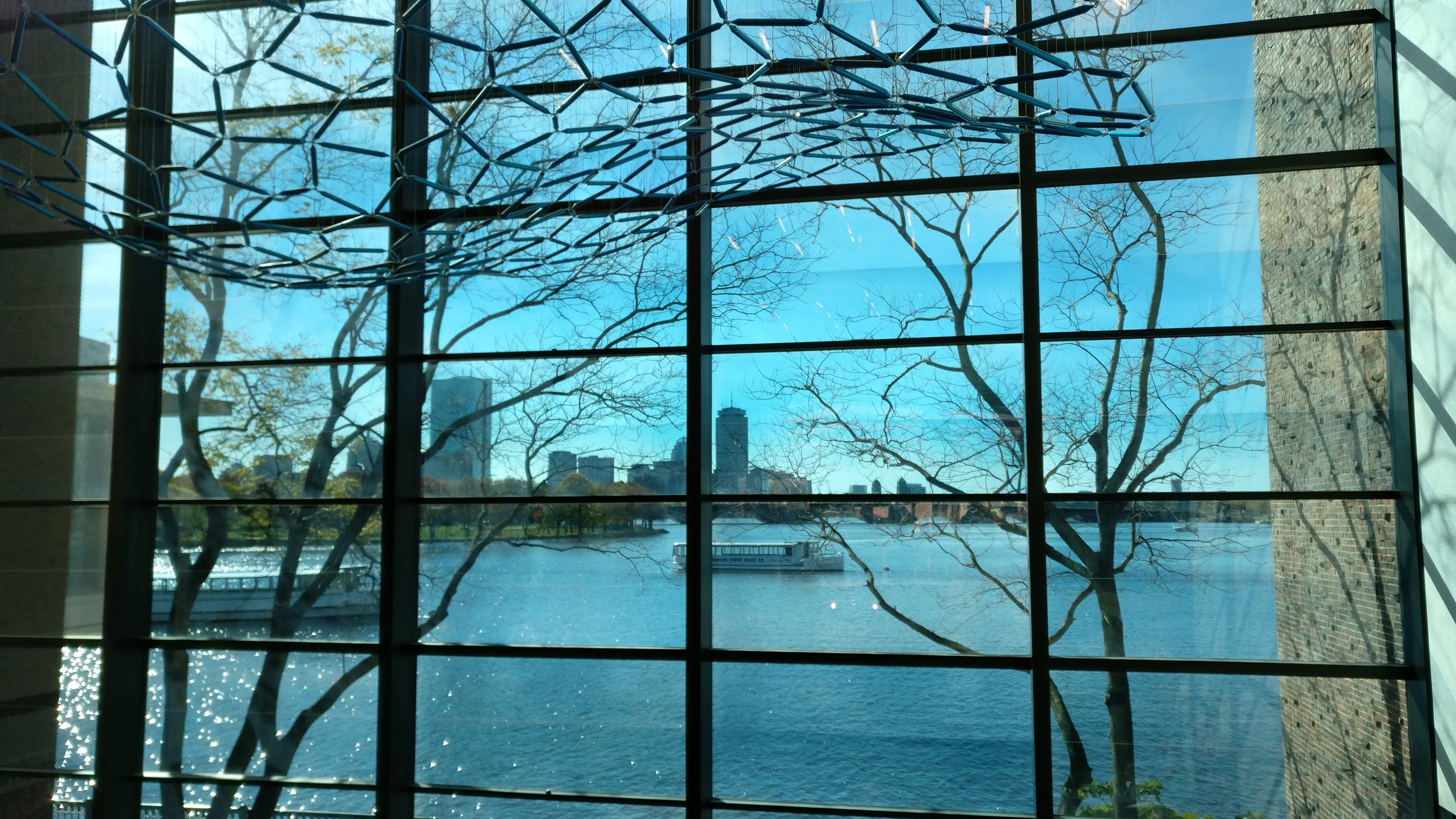 tree, city view, plant, architecture, pattern, united states, bare tree, sceneic city view, sky, day, nature, sneak peak, science museum, 4K, reflection, HD Wallpaper