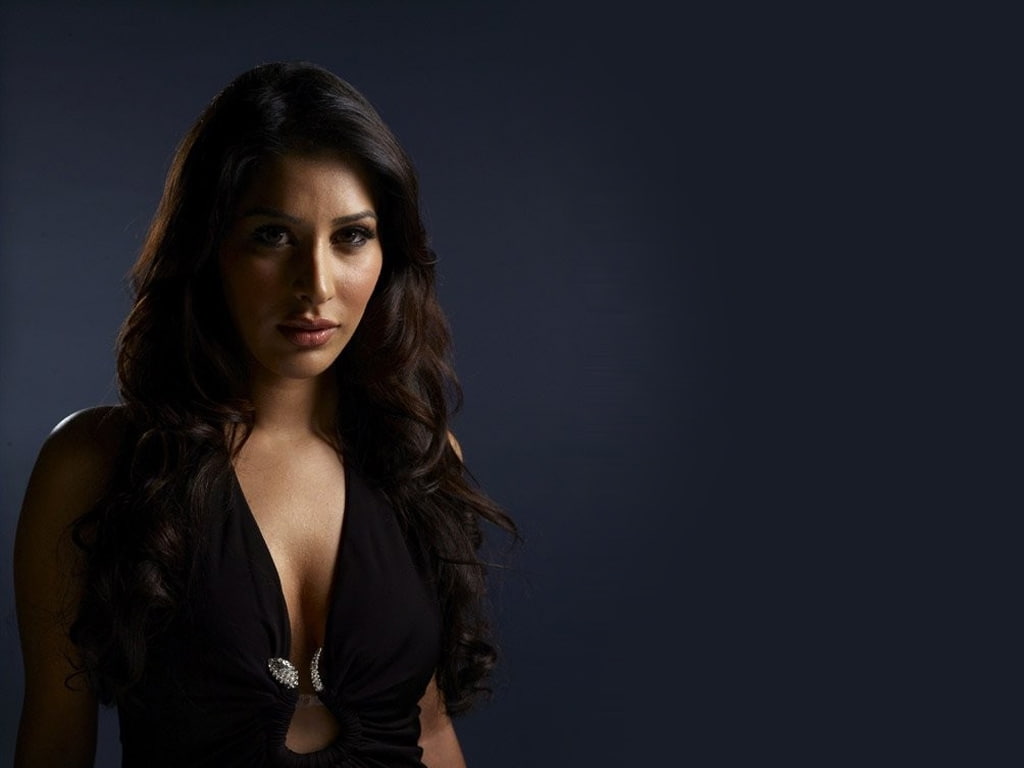 480P, bollywood, entertainment, Sophie Choudry, hd, chaudhry, Sophia Chaudhry, sophia, art, choudry, sophie, HD Wallpaper