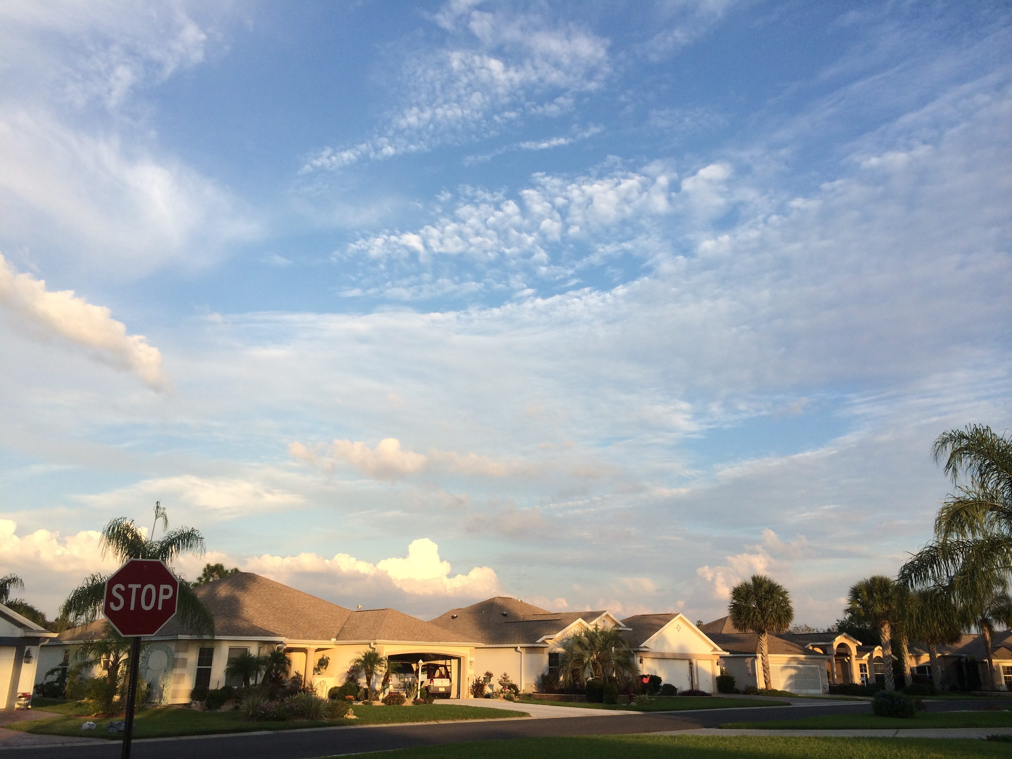 palm trees, america, beauty in nature, city, us, 2K, building exterior, nature, florida, sign, tourism, residential district, sky, travel, cloud - sky, HD Wallpaper