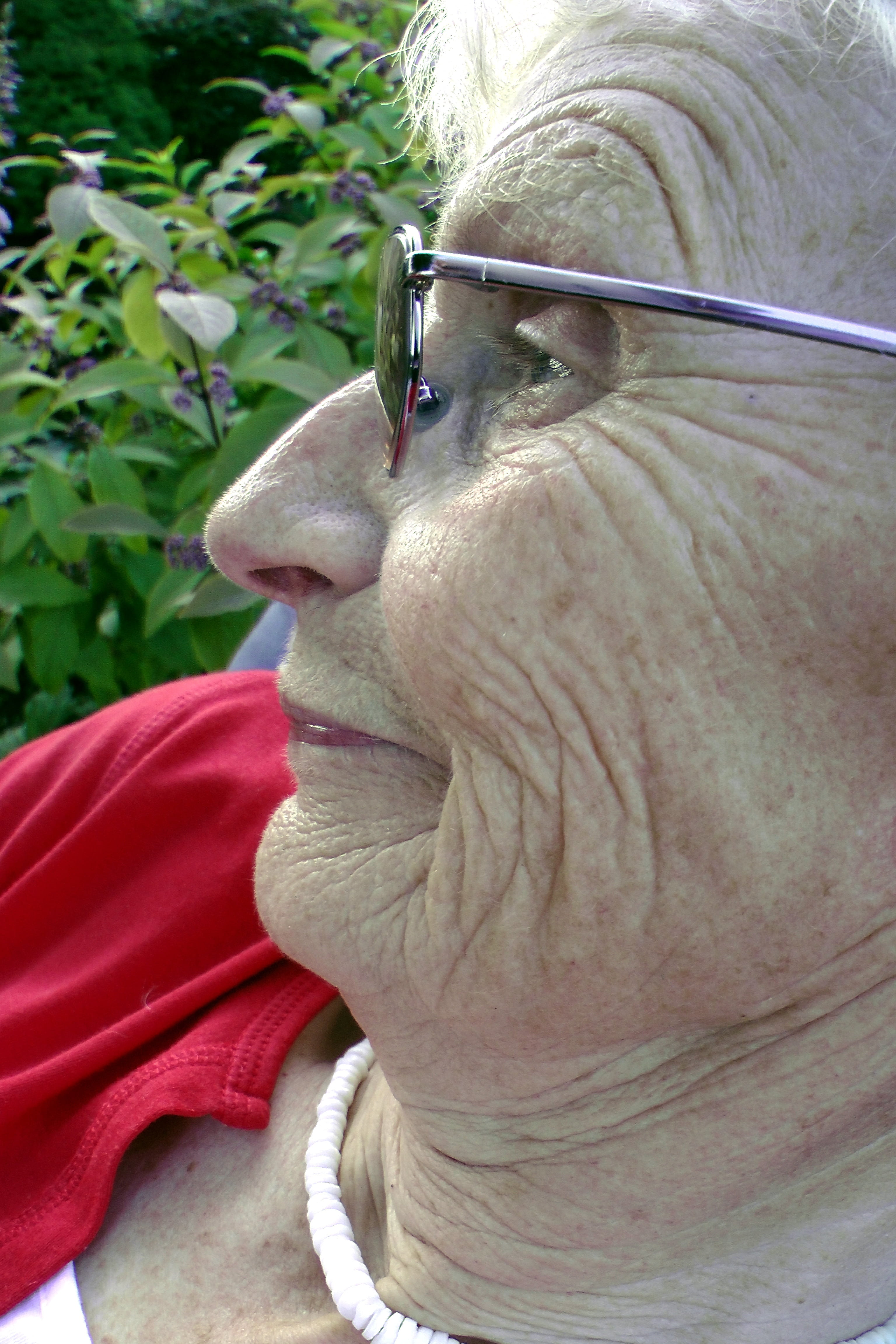 one person, red, senior adult, looking away, animal wildlife, nature, glasses, close-up, looking, old, day, seniorin, plant, fold, age spots, woman, 4K, Phone HD Wallpaper