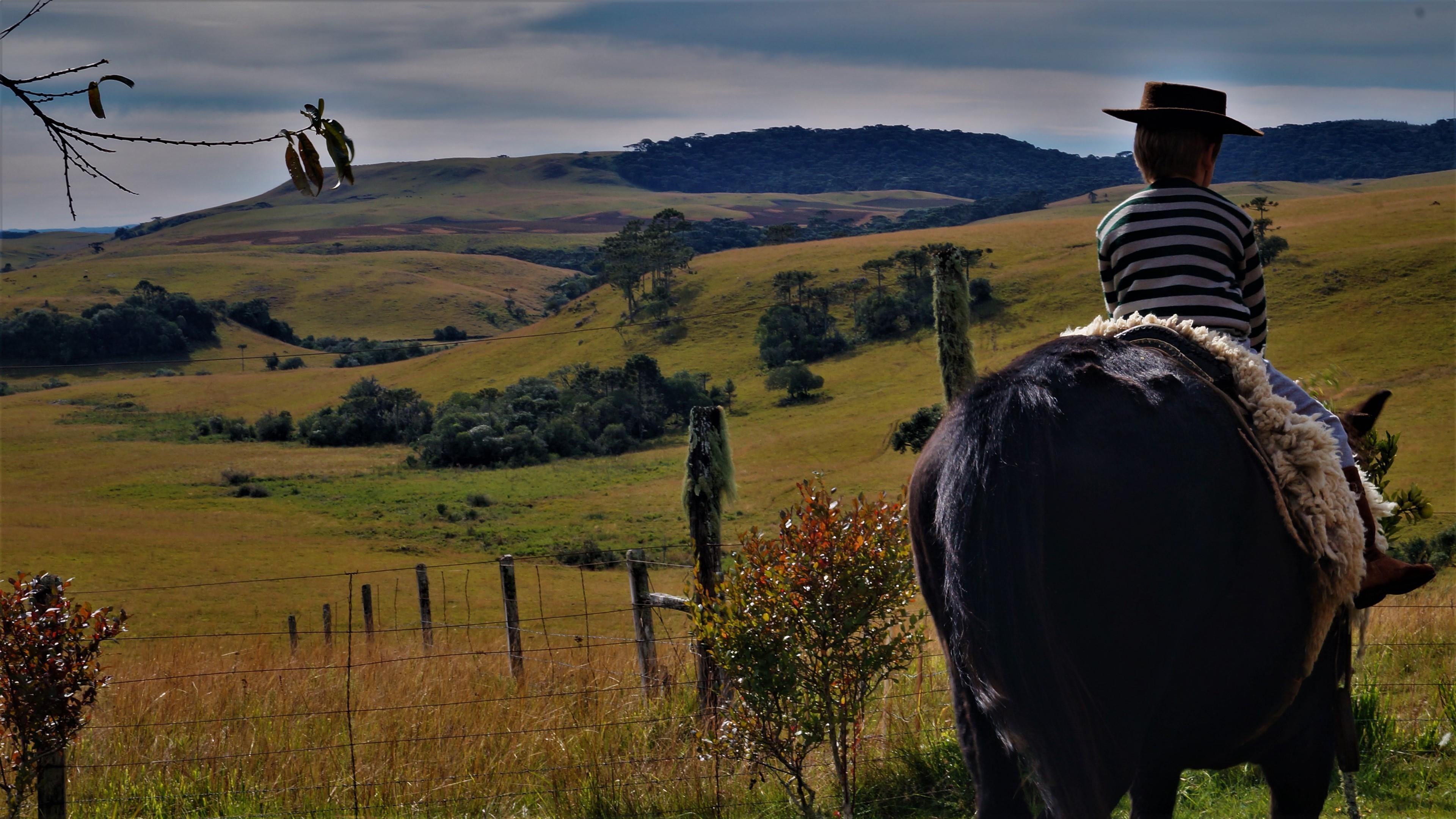 clothing, one person, beauty in nature, outdoors, gaucho, hat, plant, environment, tranquil scene, tranquility, field, leisure activity, horse, sky, rear view, HD Wallpaper