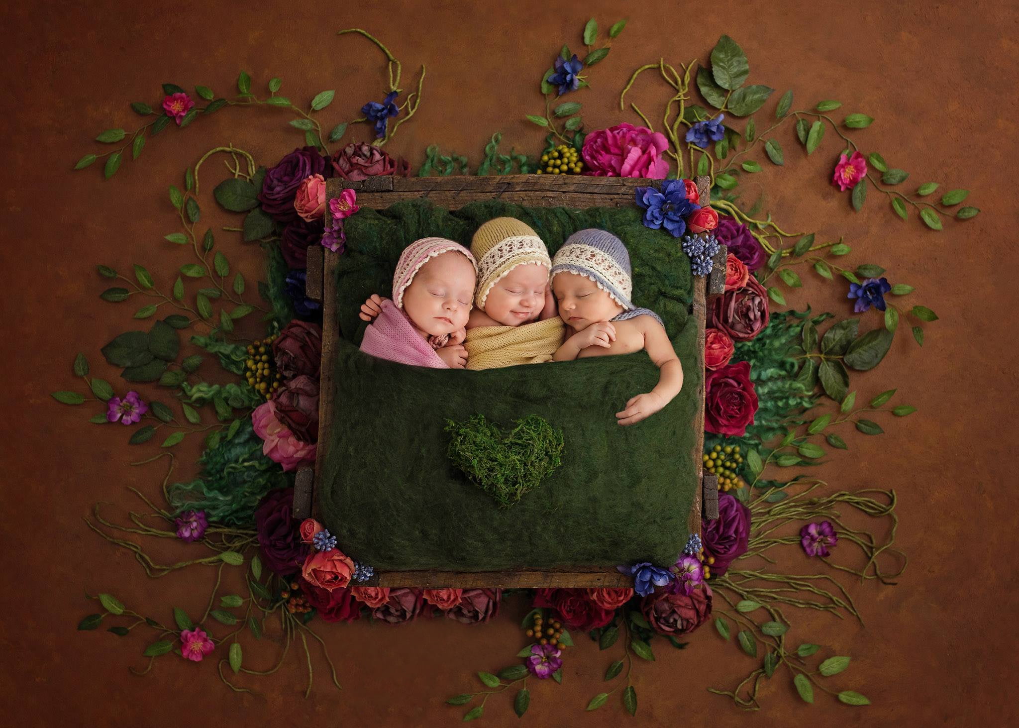 sleeping, flowers, babies, sleep, trio, Trinity, children, 1080P, mood, HD Wallpaper