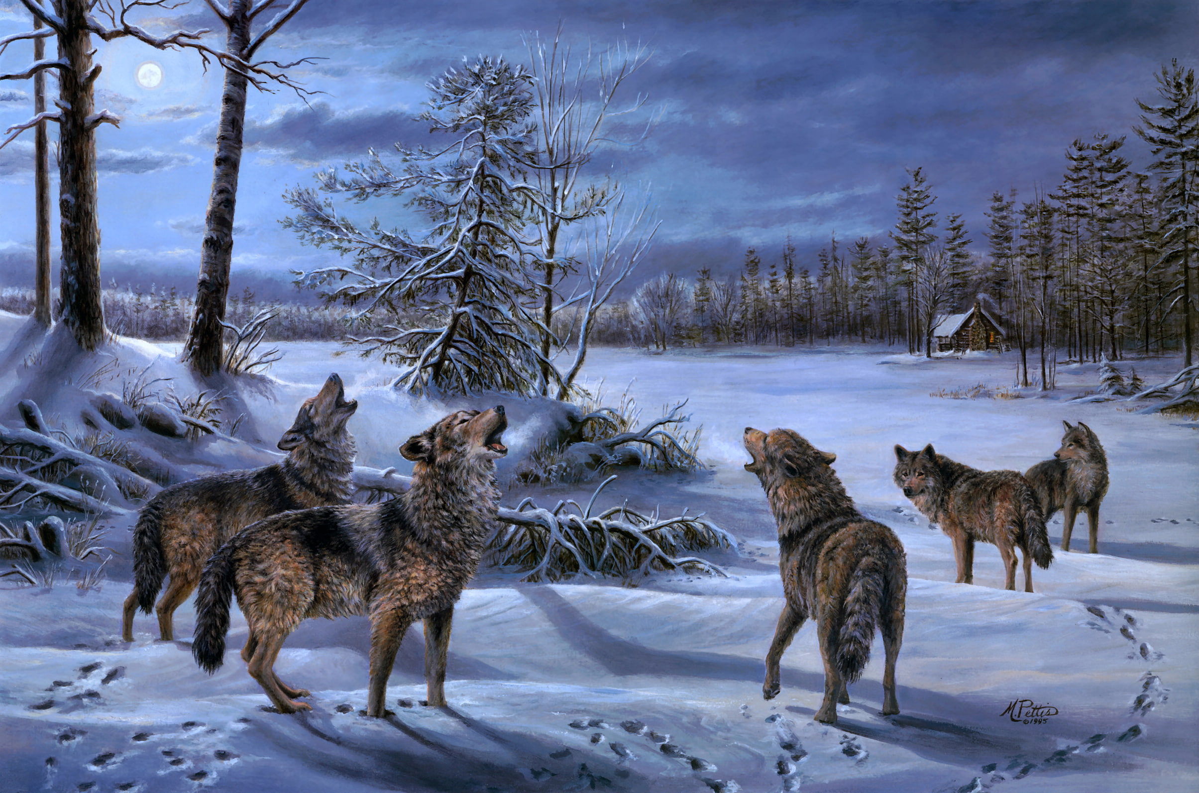 house, howl, forest, night, wolves, 1080P, HD Wallpaper