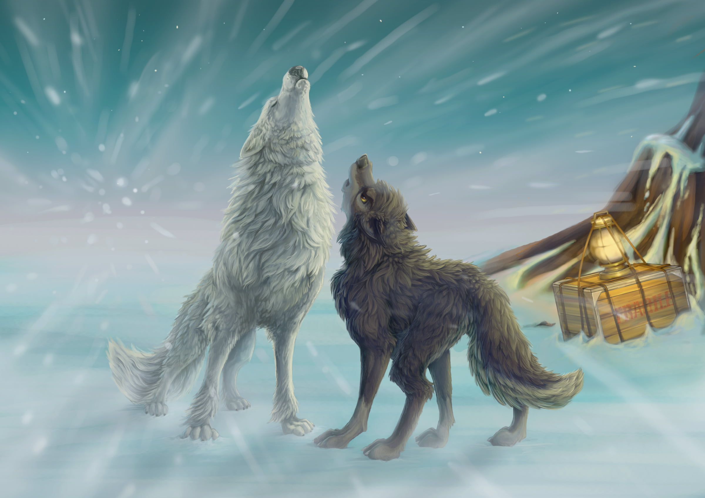 wolf, blue, outdoors, mammal, winter, young animal, pets, vertebrate, cute, domestic, animal themes, white, two, day, reflection, cold - Temperature, dog, HD Wallpaper