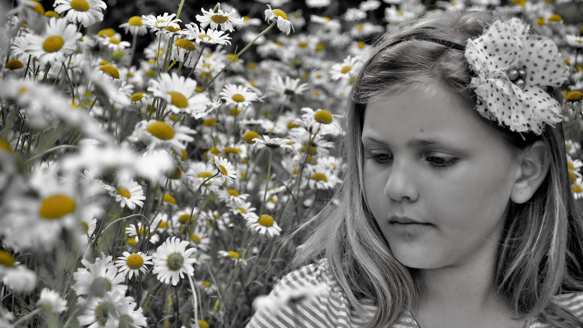 flowers, selective coloring, 1080P, daisies, hair bows, children, HD Wallpaper