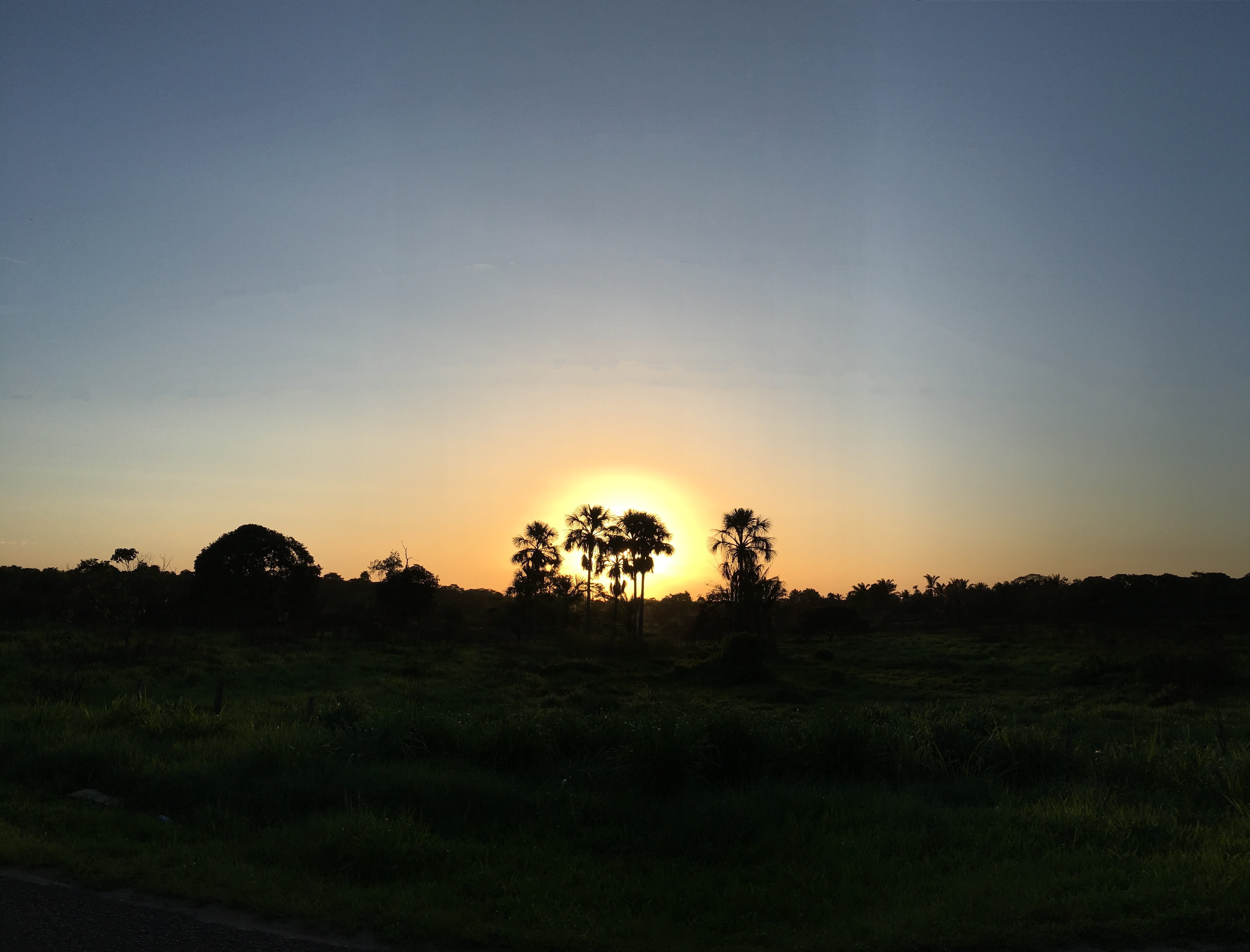 outdoors, tranquility, sunrise, plant, dusk, scenics - nature, tranquil scene, environment, dawn, vegetation, beauty in nature, caminho da martins melo, HD Wallpaper