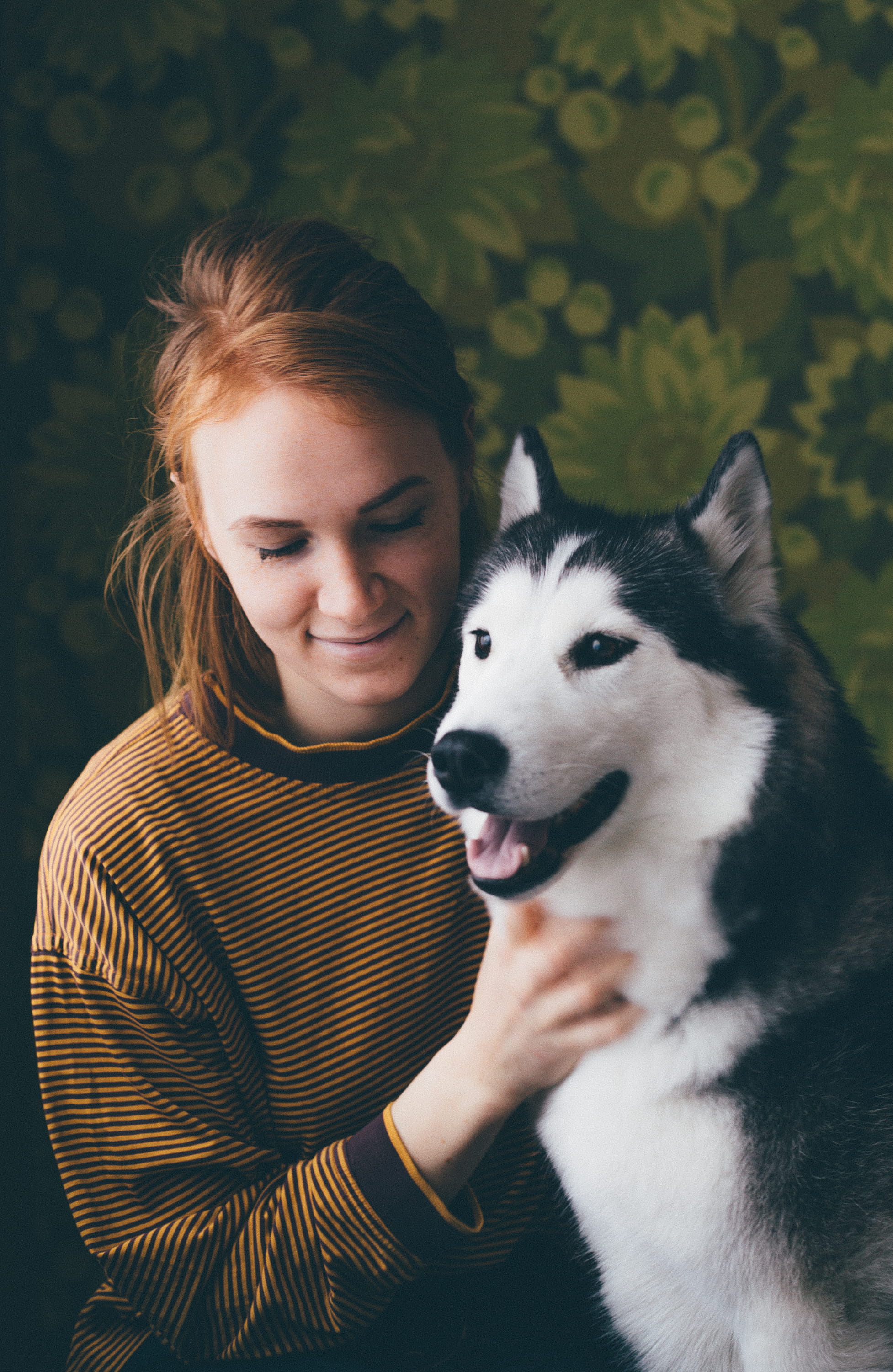 outdoors, animal, person, mammal, domestic animals, facial expression, real people, owner, portrait, leisure activity, love, pet, girl, husky, vertebrate, Phone HD Wallpaper