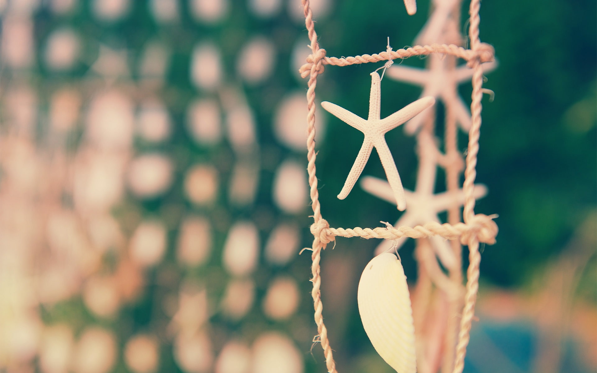Still, brown, Starfish, Focus, Rope, ornament, Life, 1080P, Shell, HD Wallpaper