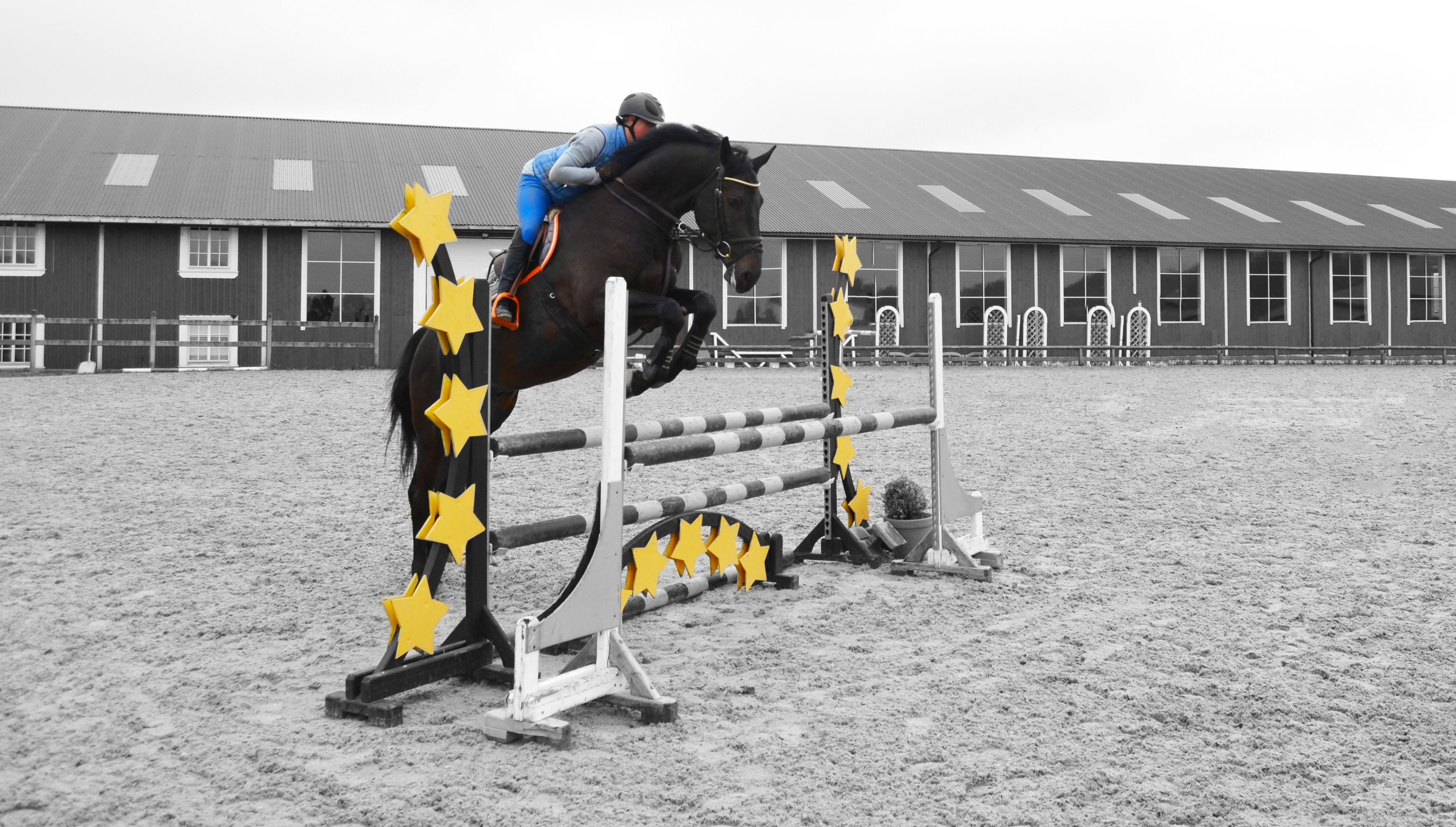 leisure activity, manual Worker, hardhat, day, Horses, protective Workwear, men, outdoors, Horse, winter, 4K, rider, building exterior, clothing, showjumping, HD Wallpaper