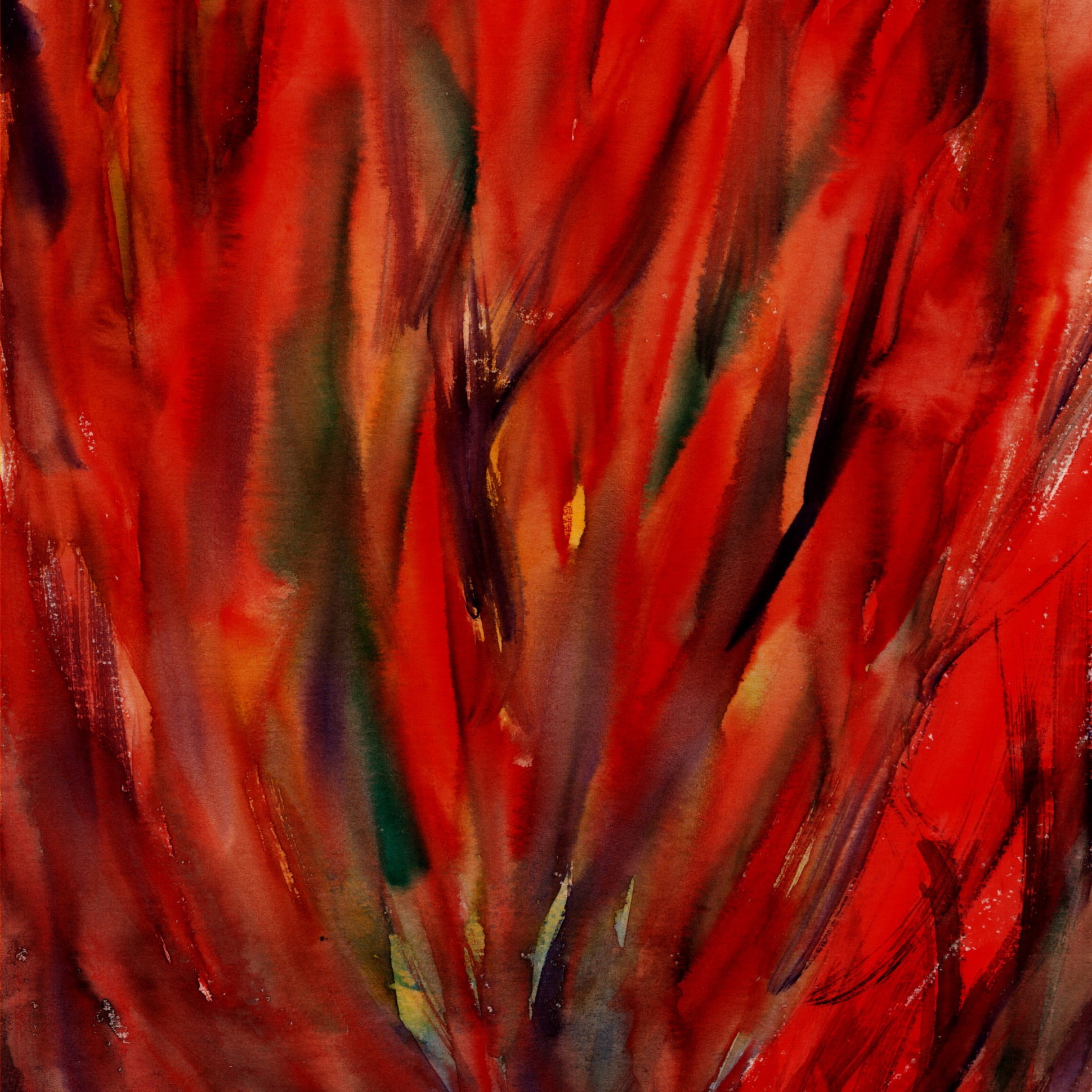 natural pattern, flame, fragility, growth, textured, red, 1080P, close-up, backgrounds, painting, watercolor, table abstract, day, pattern, detail, no people, Phone HD Wallpaper