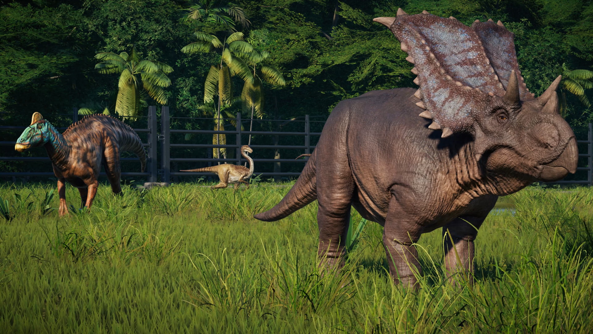 Video Game, 1080P, Jurassic World: Evolution, HD Wallpaper