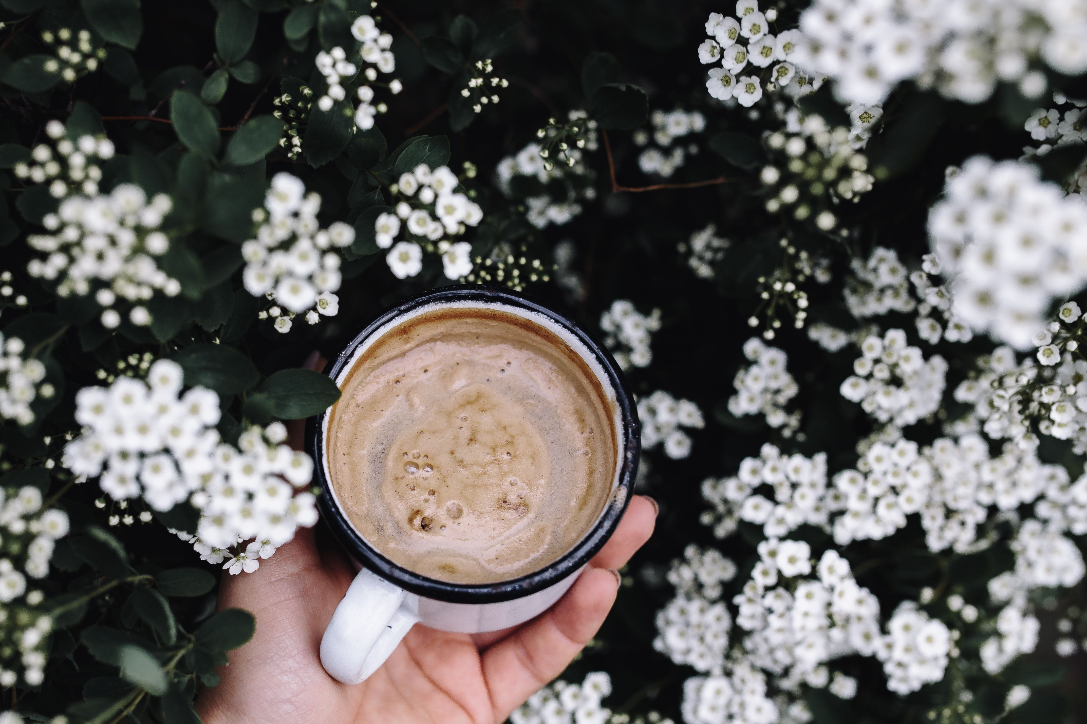 latte, cappucino, human Hand, finger, drink, flowers, 4K, flowering plant, human body part, outdoors, food, plant, holding, crockery, hand, garden, Morning coffee, HD Wallpaper