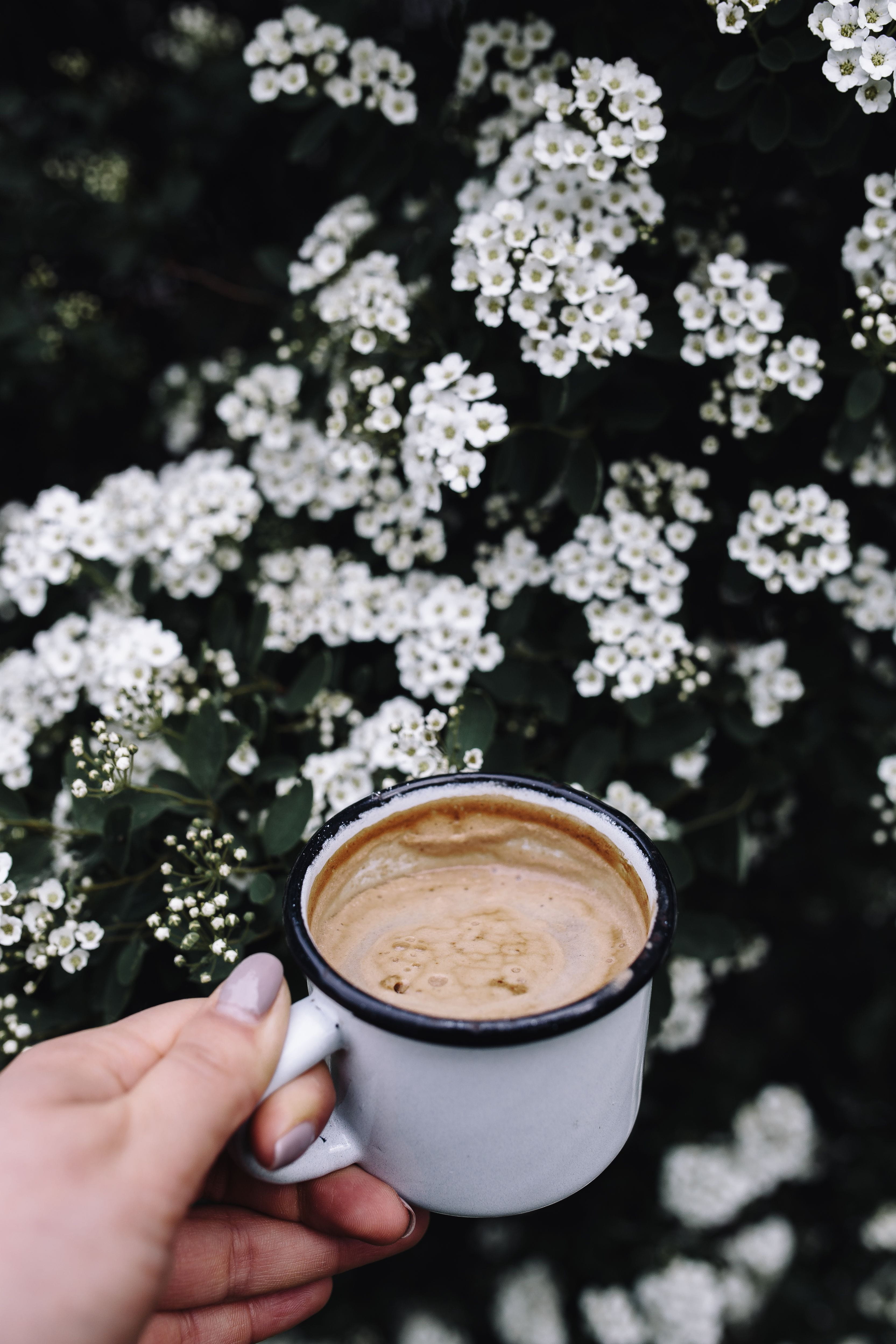 food and drink, coffee, coffee Cup, cup, heat - Temperature, frothy drink, in the garden, lifestyles, late, outdoors, morning, focus on foreground, human body part, Phone HD Wallpaper