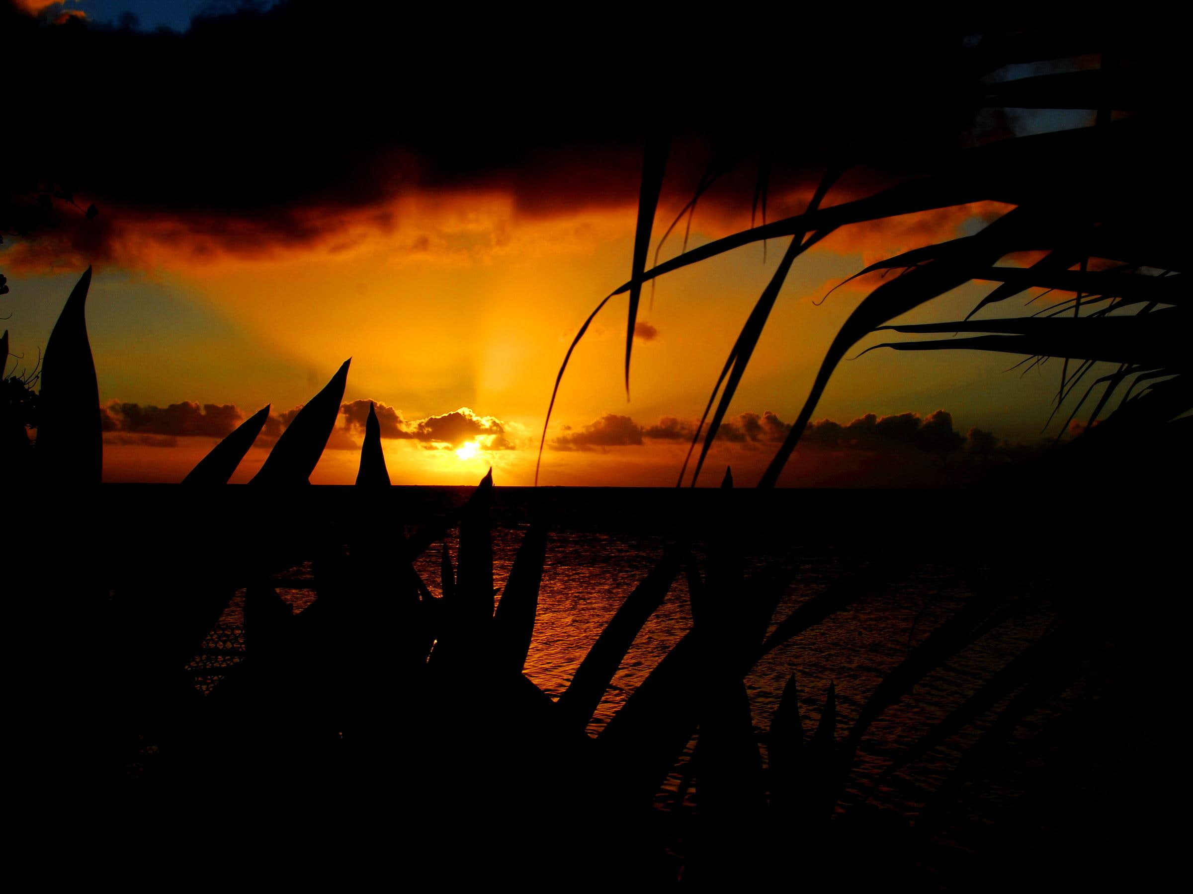 reflection, sunlight, style, ocean, sunset, sunshine, orange, 1080P, rays, sundown, winter, south, pacific, nature, HD Wallpaper