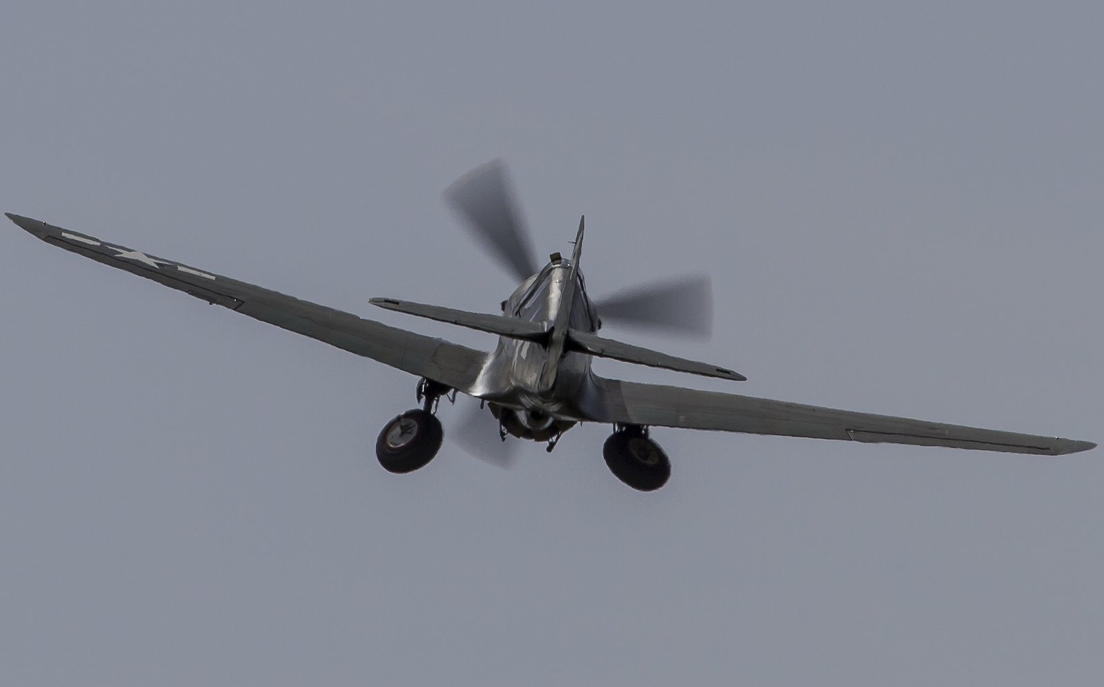 flying, airshow, fighter, p-40, airplanes, 720P, american, aircraft, warhawk, curtiss, war, flight, aeroplane, HD Wallpaper
