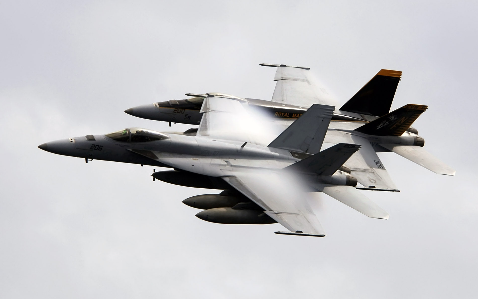hornets, fa, super, 1080P, e, HD Wallpaper