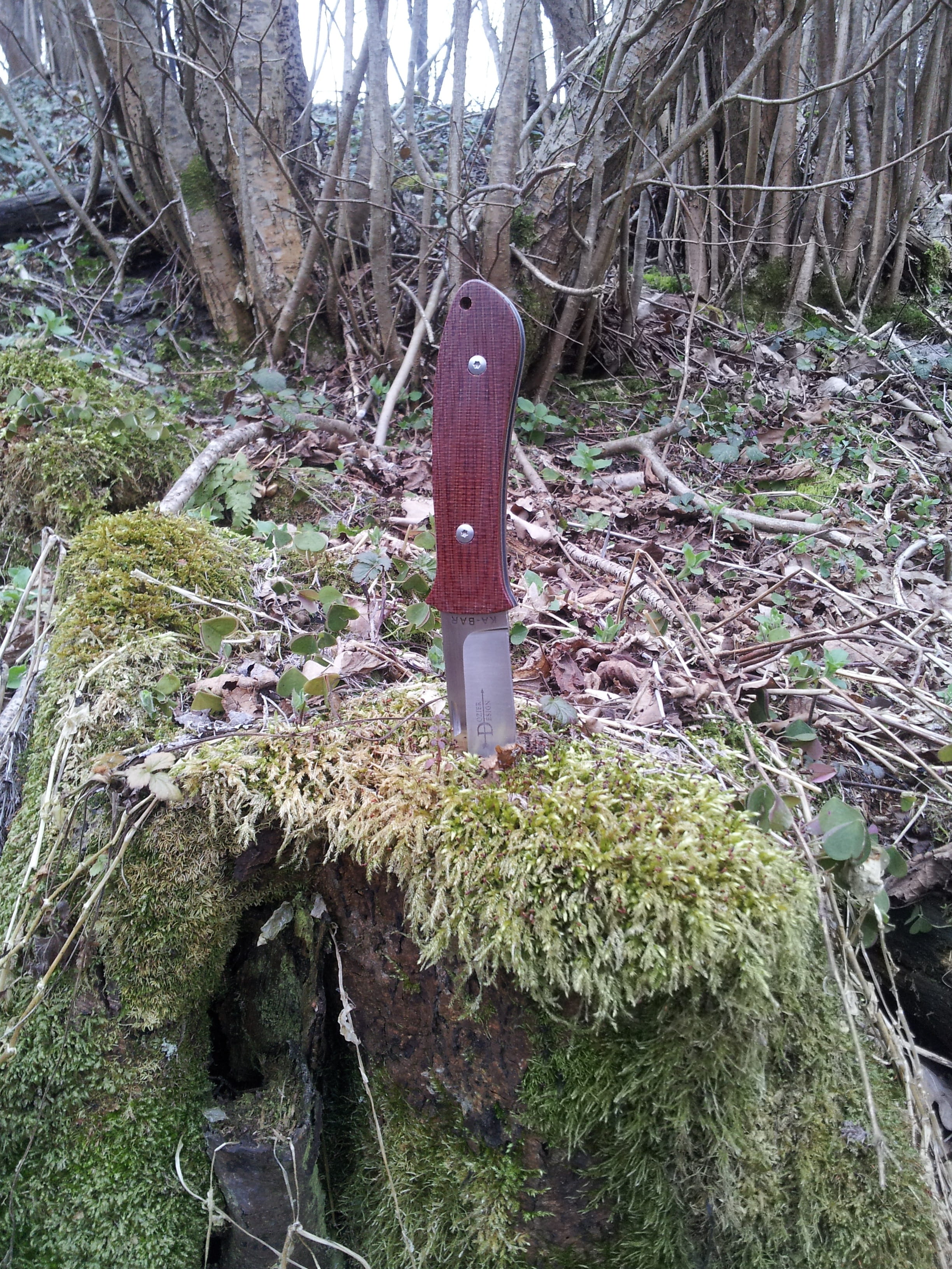 trunk, knife, 2K, land, nature, plant, rock, tranquility, moss, field, plant part, growth, forest, rock - object, beauty in nature, outdoors, bark, folding, Phone HD Wallpaper