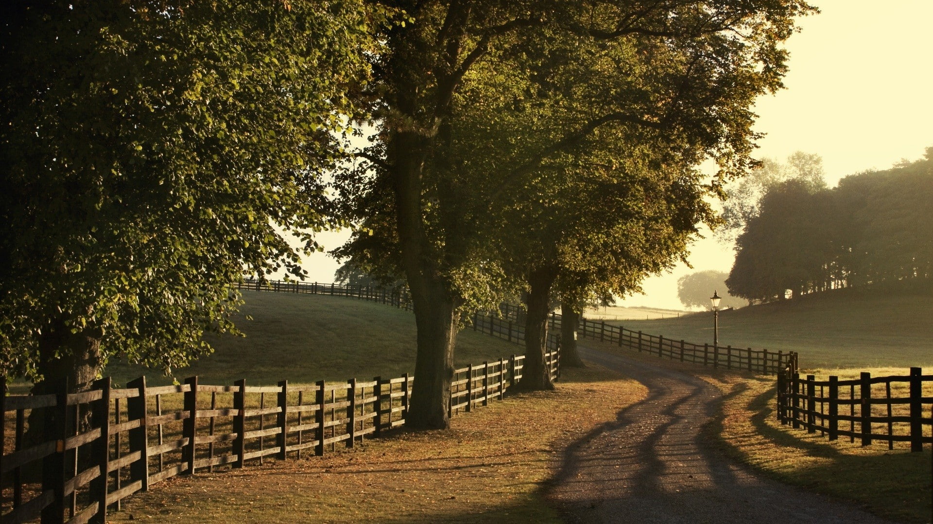 tree, nature, outdoors, the way forward, sunlight, boundary, plant, long, footpath, road, growth, direction, day, shadow, barrier, tranquility, transportation, HD Wallpaper