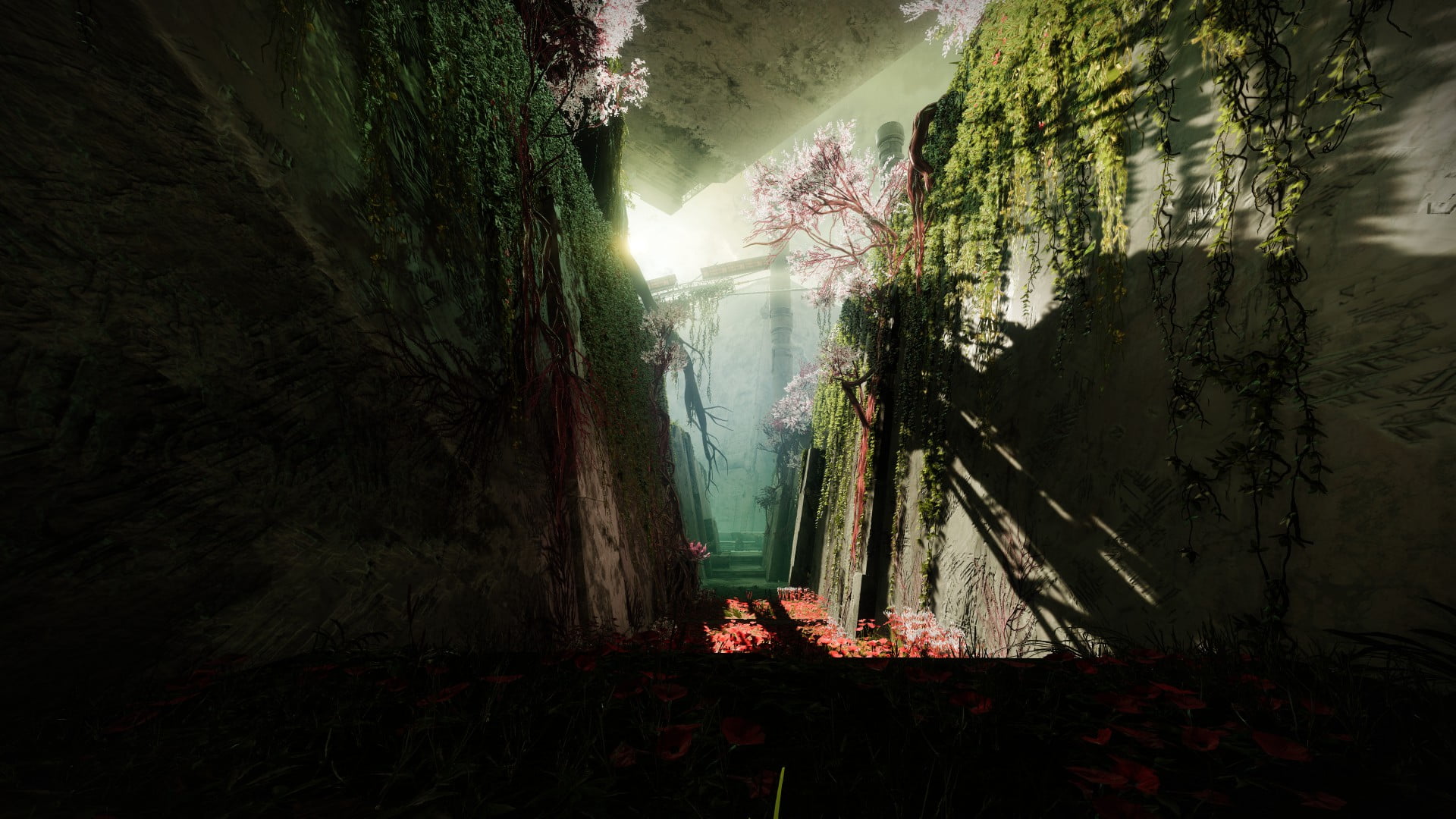 Destiny 2 (video game), Destiny 2 Shadowkeep, 1080P, HD Wallpaper