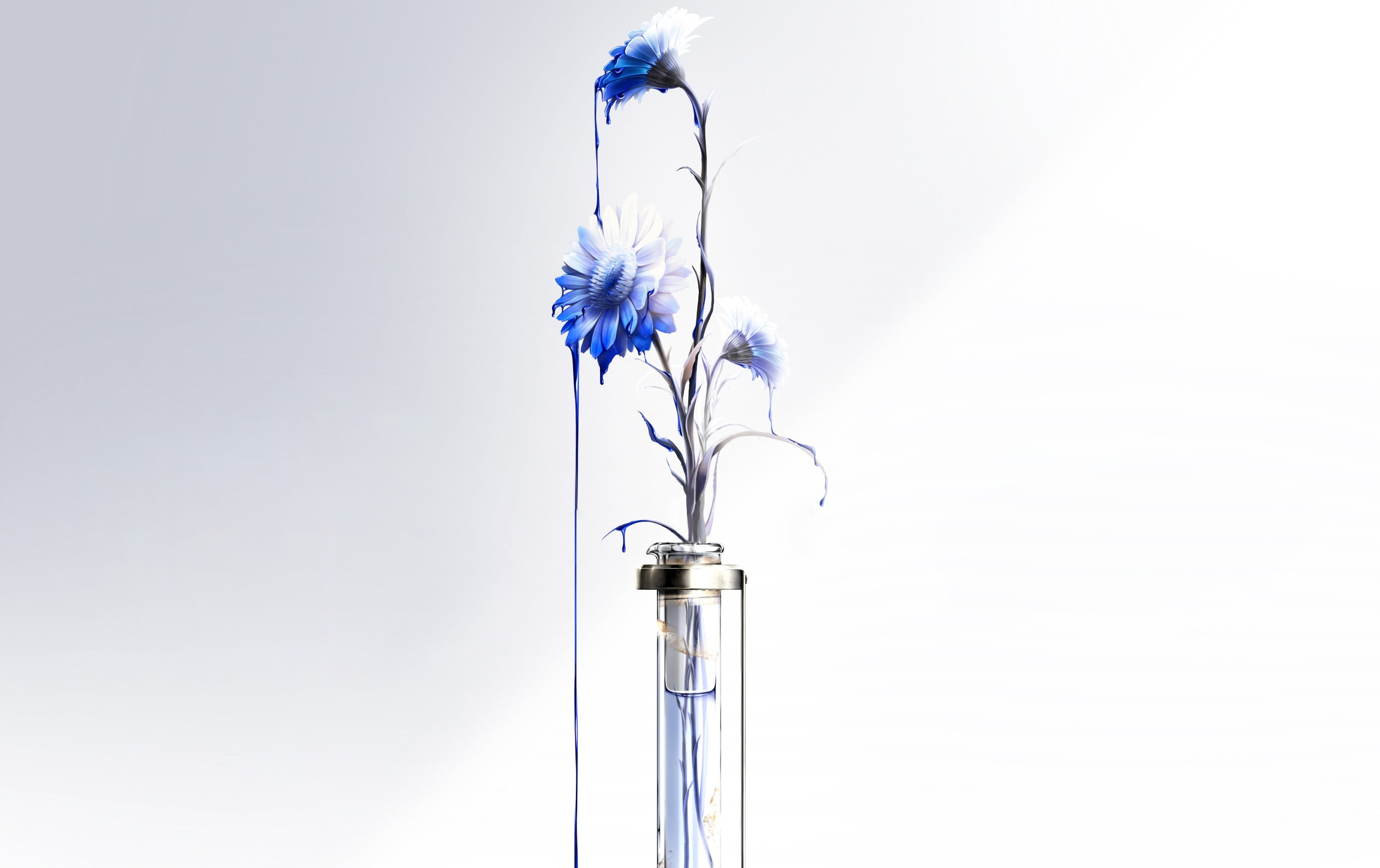 metal, 2K, copy space, single object, white, nature, blue, close-up, blue flowers, cut out, simple background, fragility, studio shot, decor, flowers, HD Wallpaper
